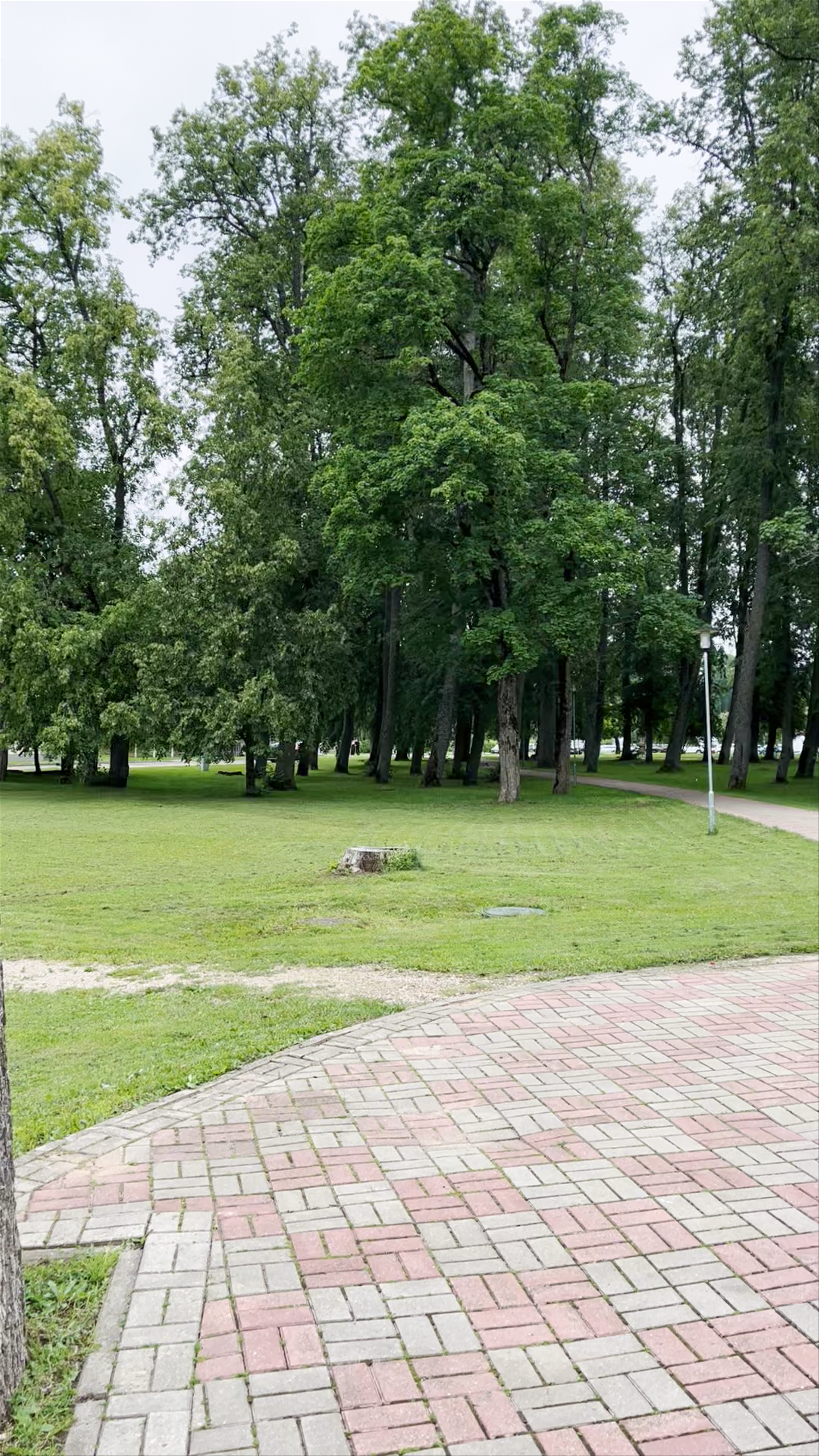 Sigulda Evangelical Lutheran Church: Historic Serenity in Latvia