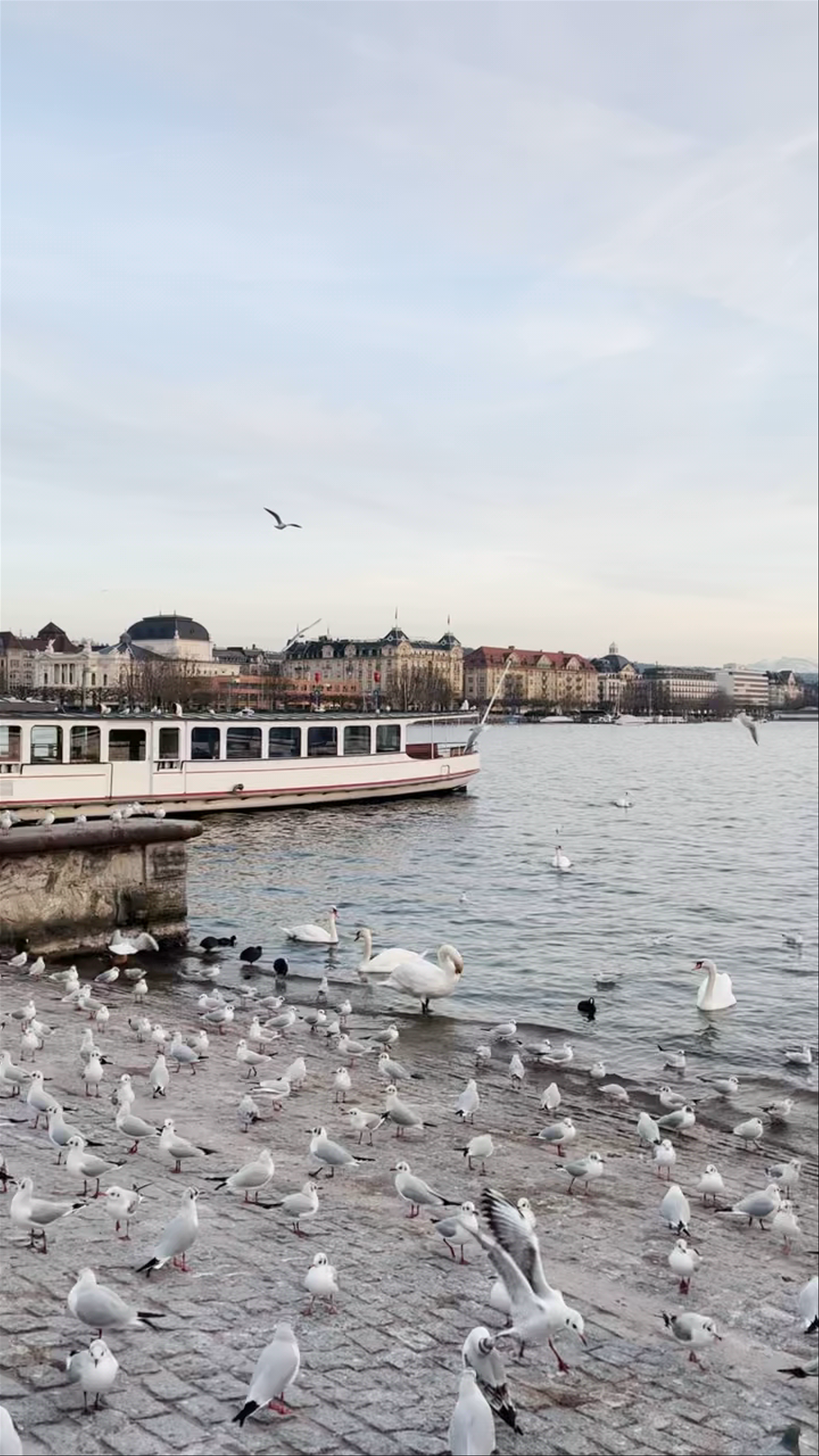 Serene Waterside Moment at Bellevueplatz, Zürich