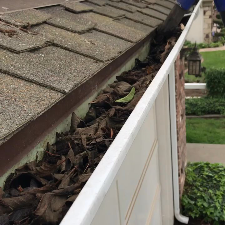 Royal Pane Cleaning Services - Professional rain gutter cleaning, we can view 2-3 story gutters with our camera and monitor. We inspect and view all rain gutters before. - Window Washing Near Me