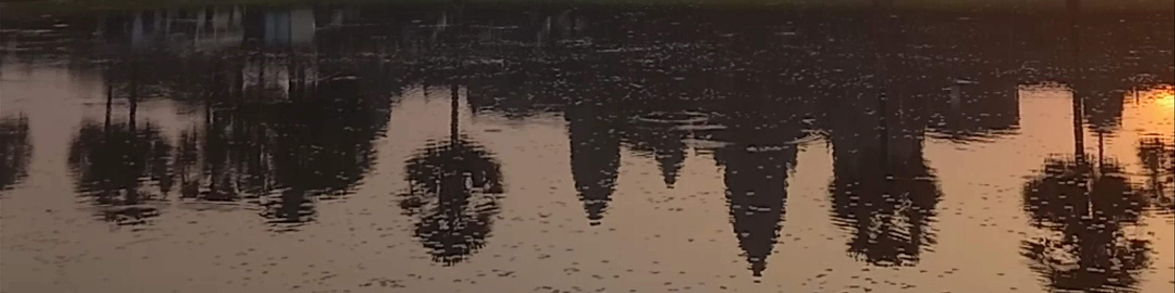 Reflecting Pond