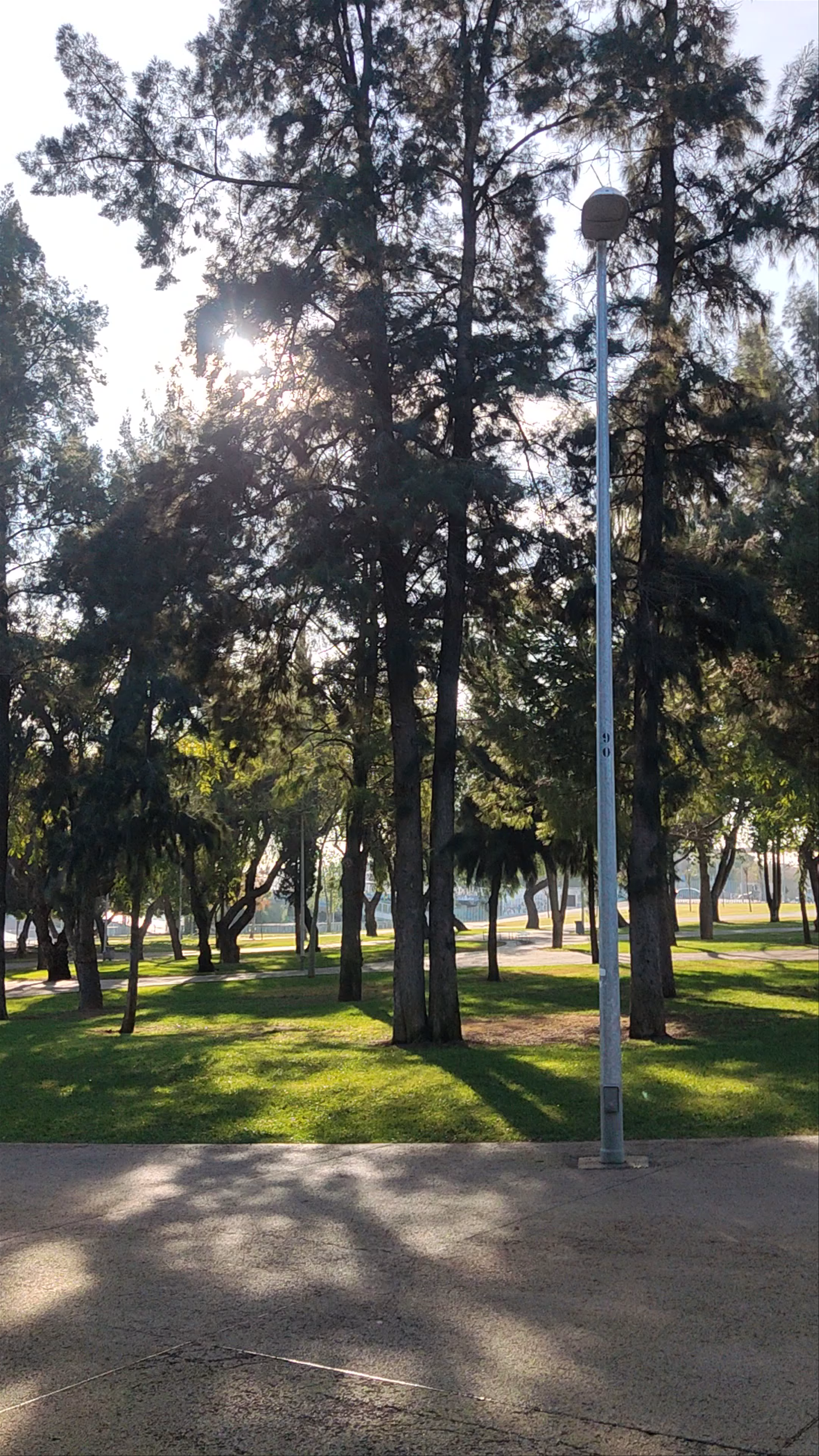 Parque Fernando Magallanes