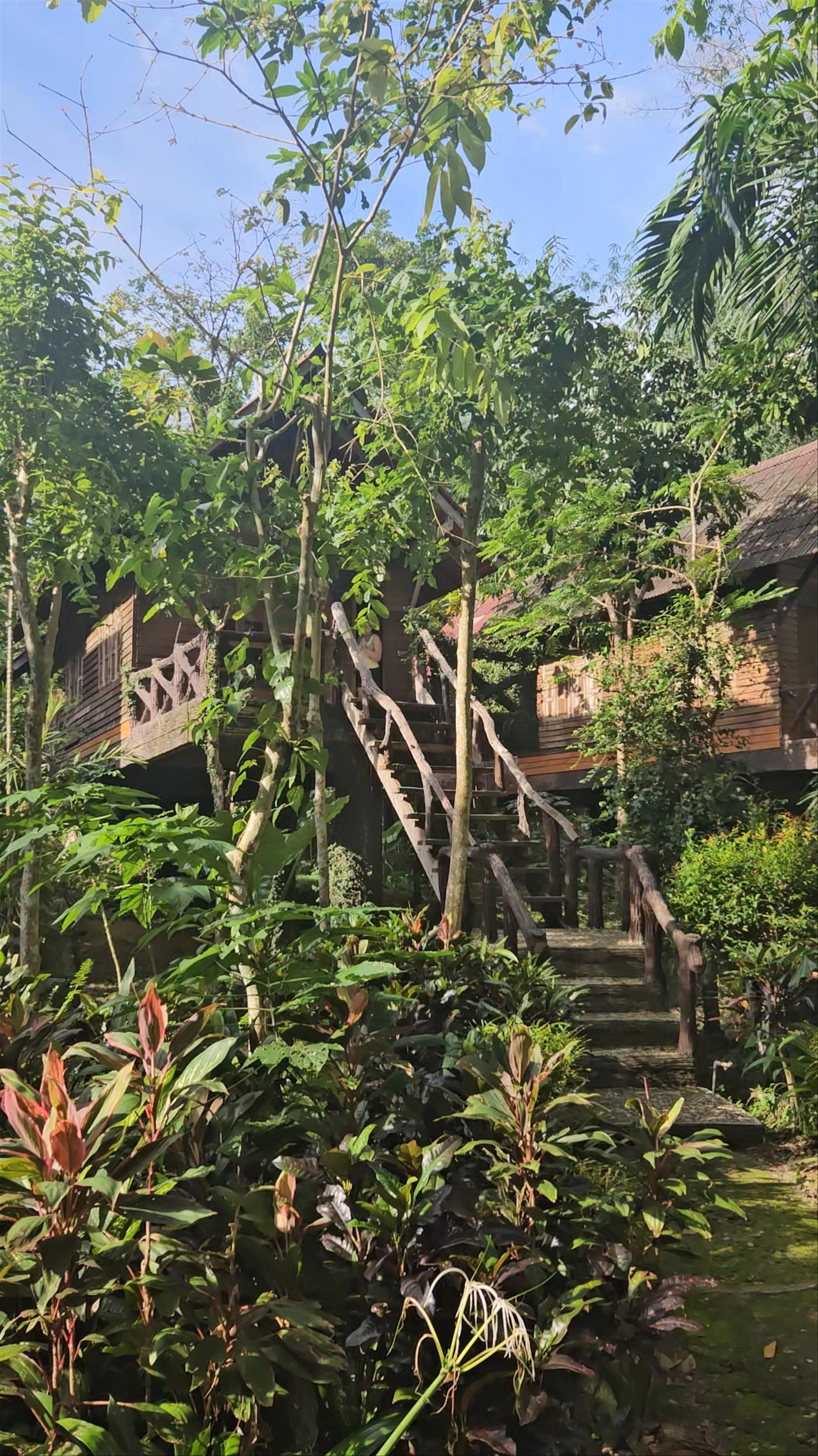 Art's Riverview Lodge: Serene Jungle Retreat in Khlong Sok, Thailand