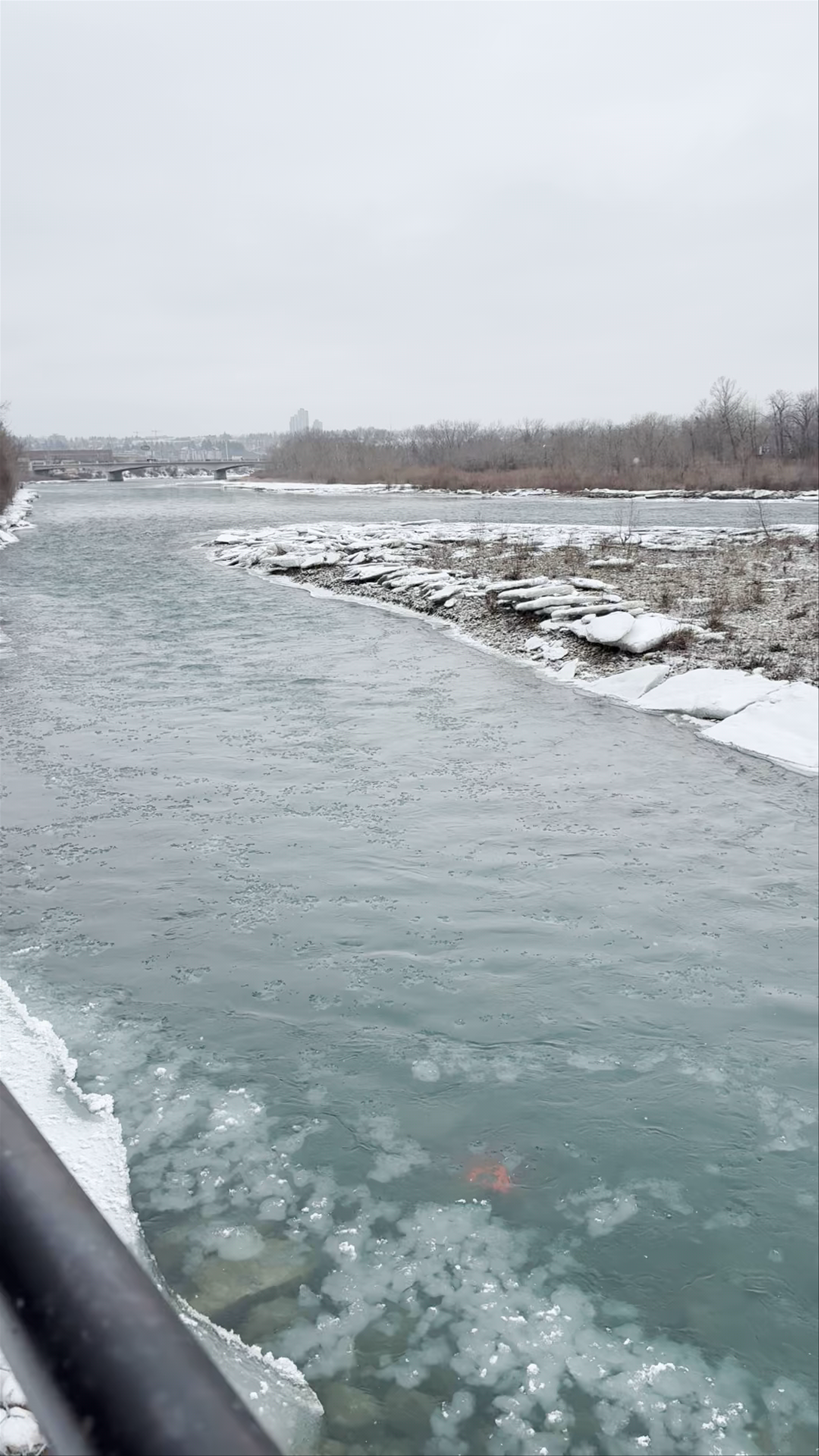 Winter Serenity at Peace Bridge, Calgary