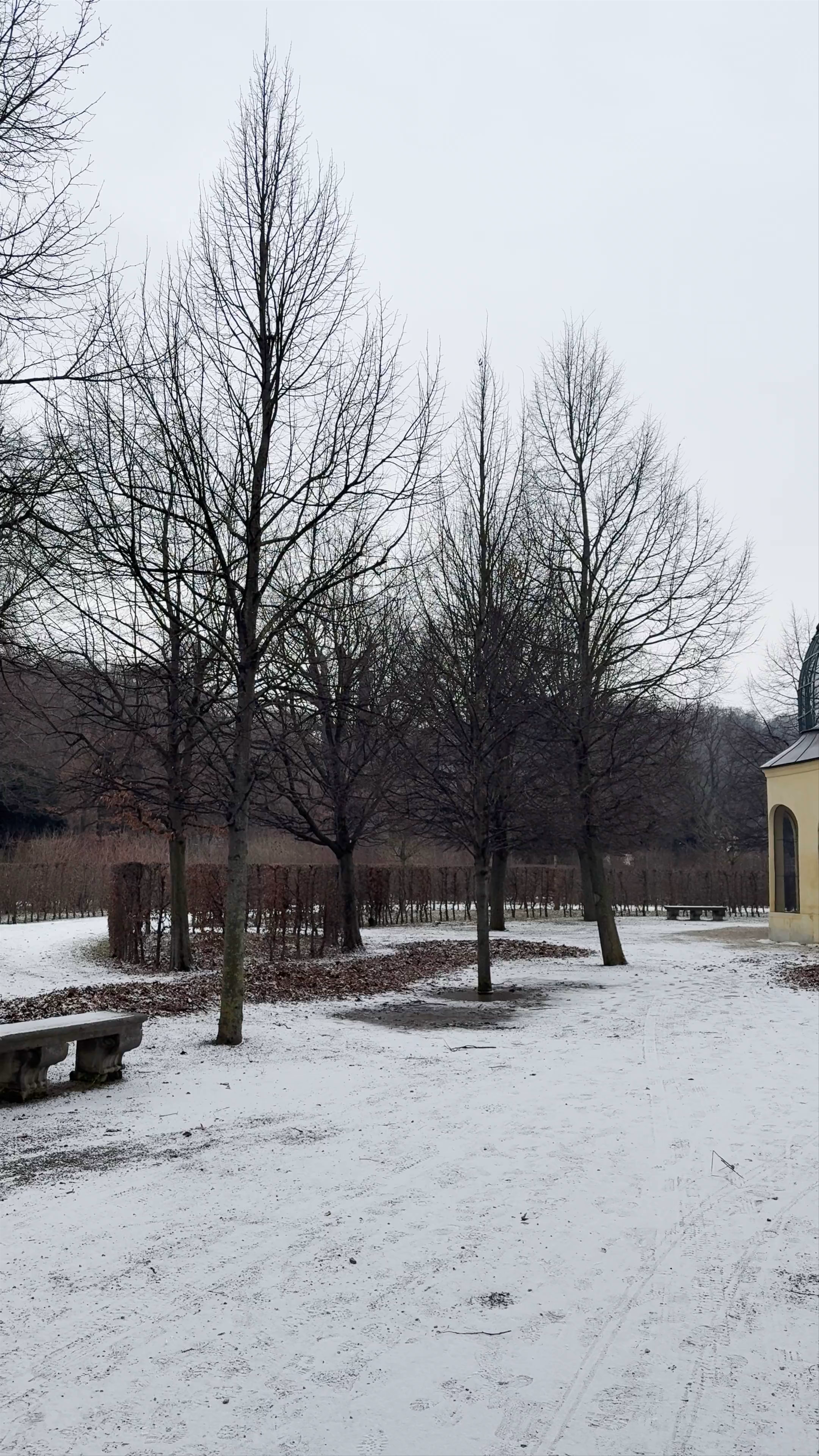 Winter Serenity at Taubenhaus, Vienna