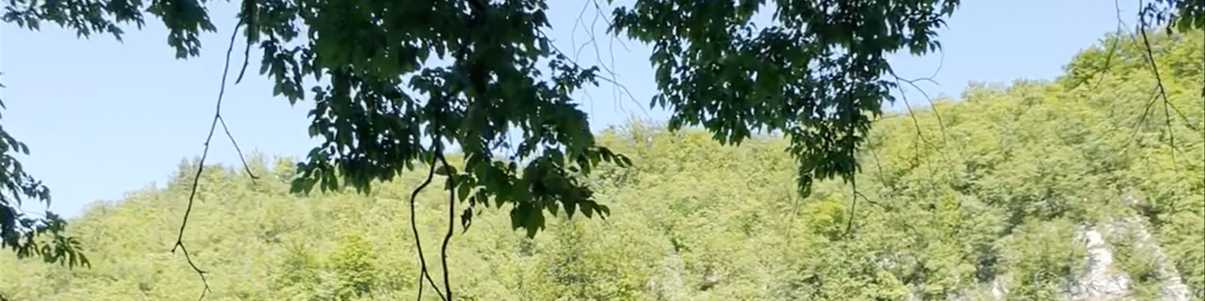 Vidikovac 5