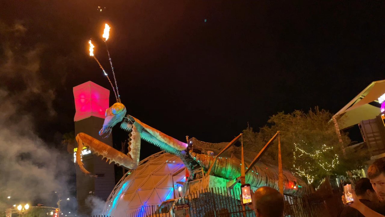 PRAYING MANTIS - Updated June 2026 - 31 Photos - 707 Fremont St, Las ...