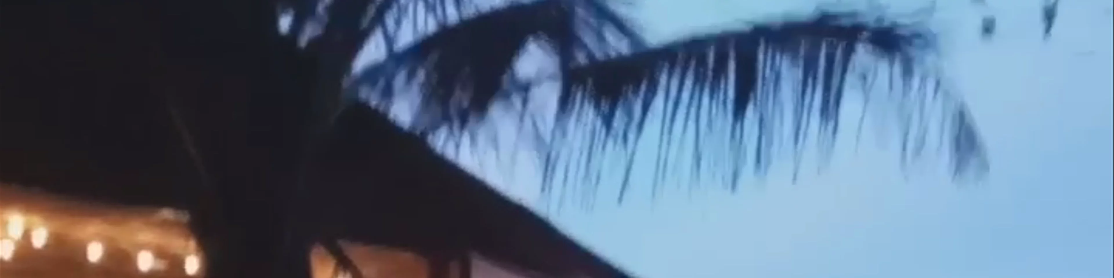 Angela's At Moonhut