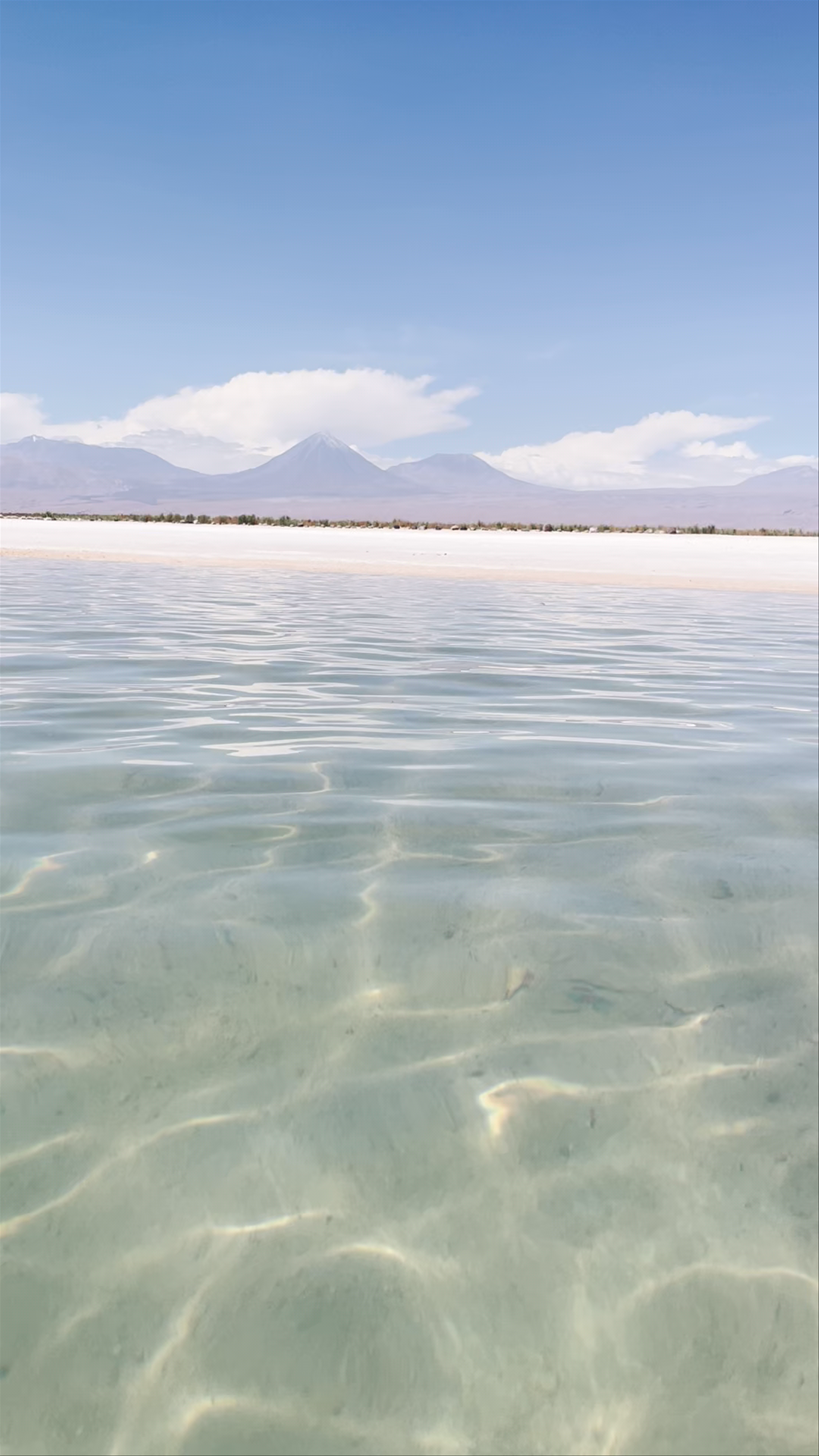 Laguna Cejar: Crystal Clear Waters Against the Atacama Volcanoes