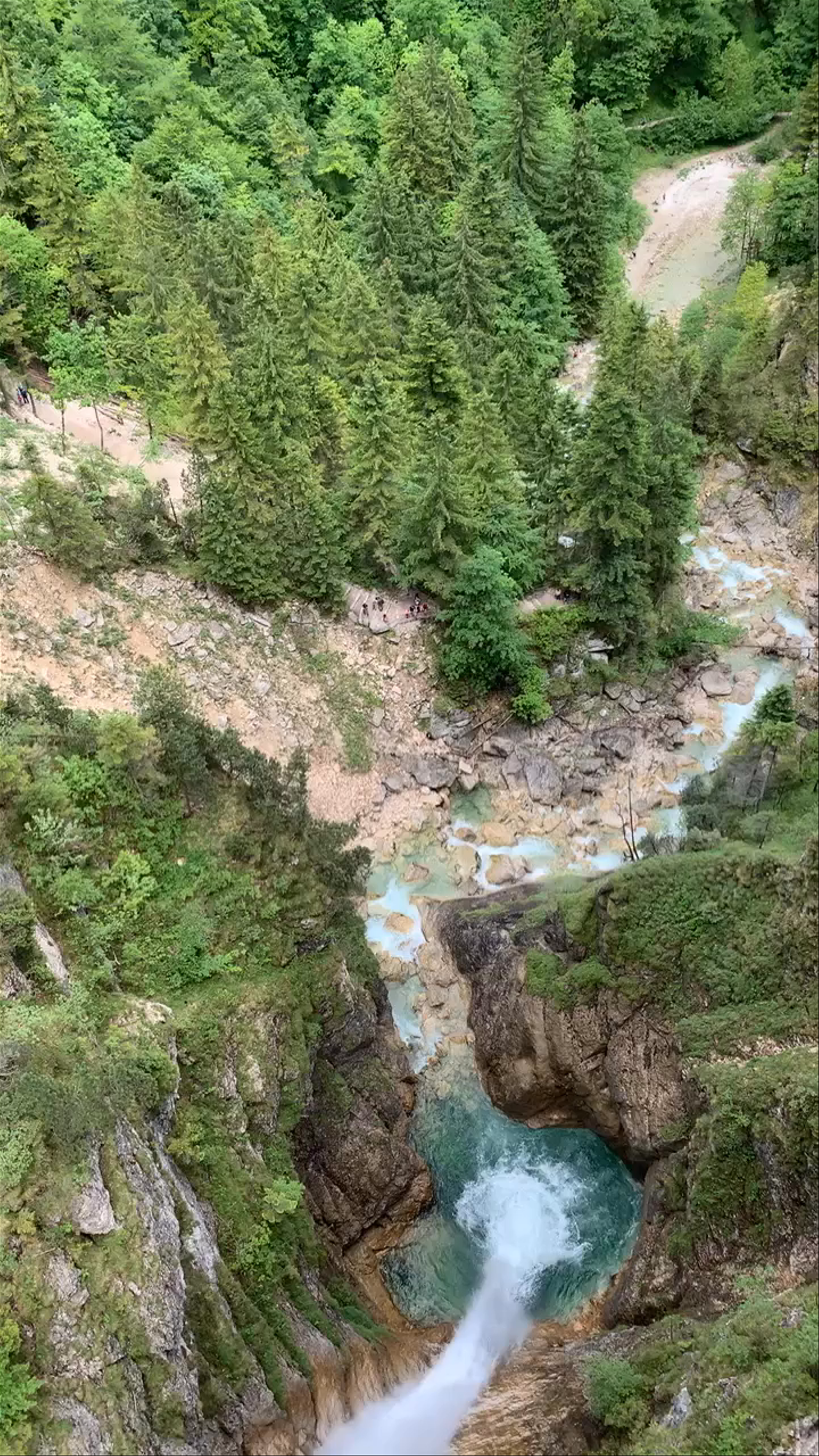 Neuschwanstein Castle and Alpine Waterfall Walk in Schwangau, Germany