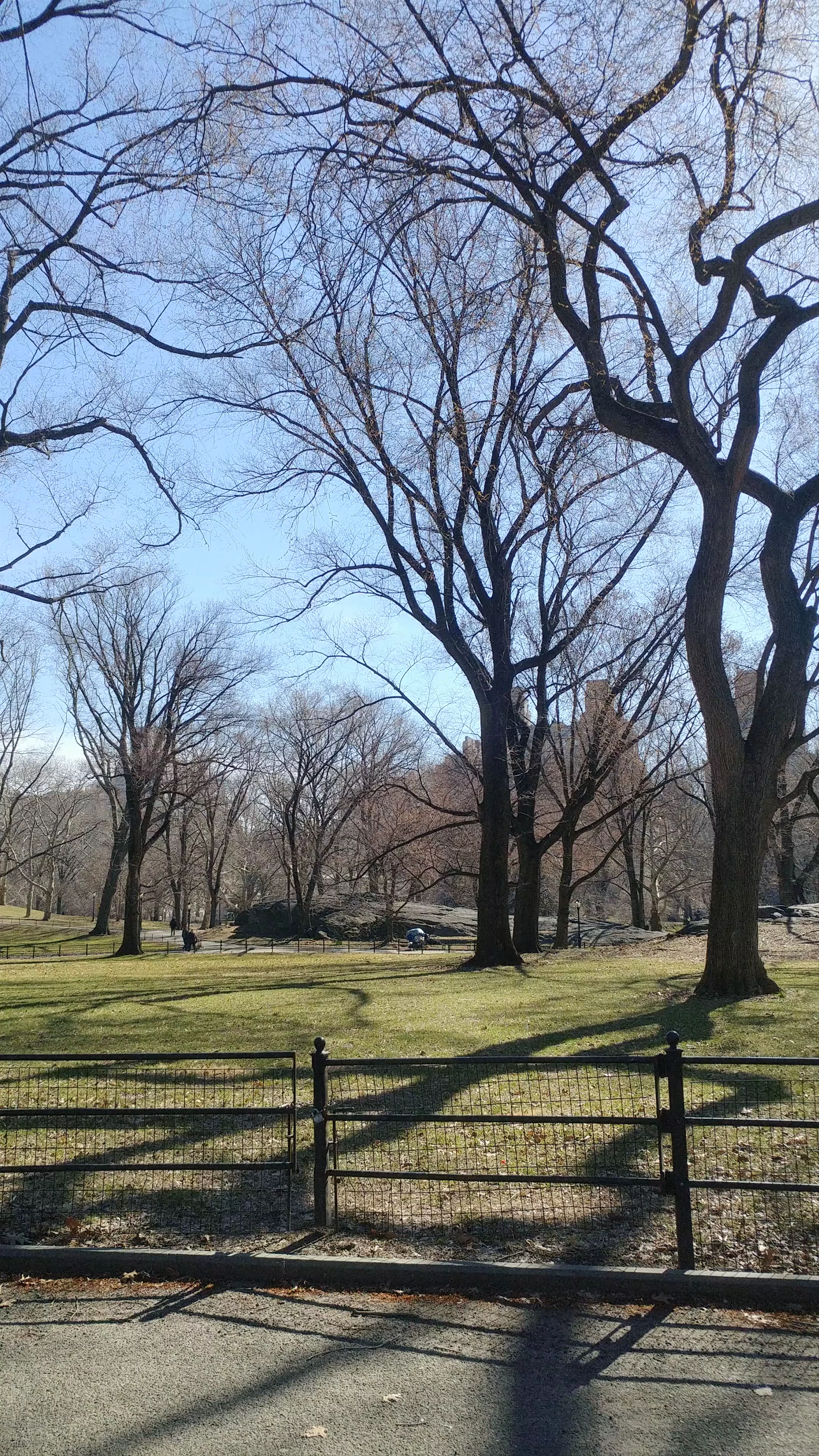 Central Park, New York, NY, USA