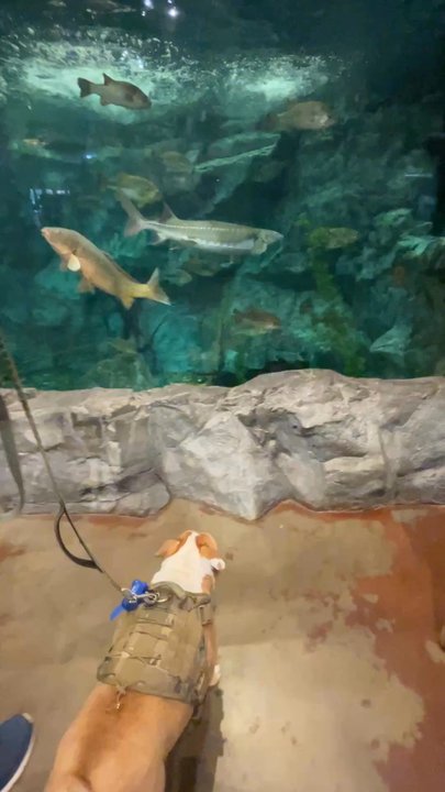 Bass Pro Shops - Outdoor Gear Near Me - Manteca, California