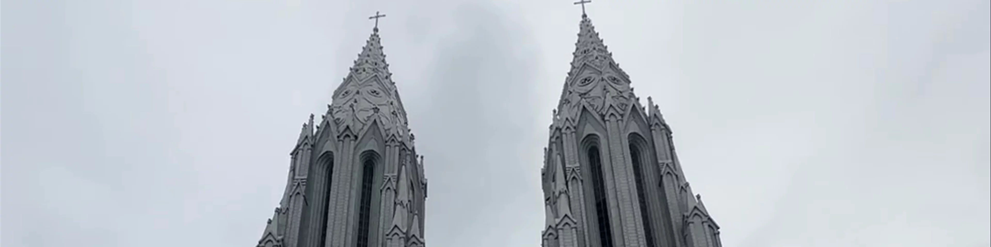 St. Joseph's Cathederal (St. Philomena's shrine)