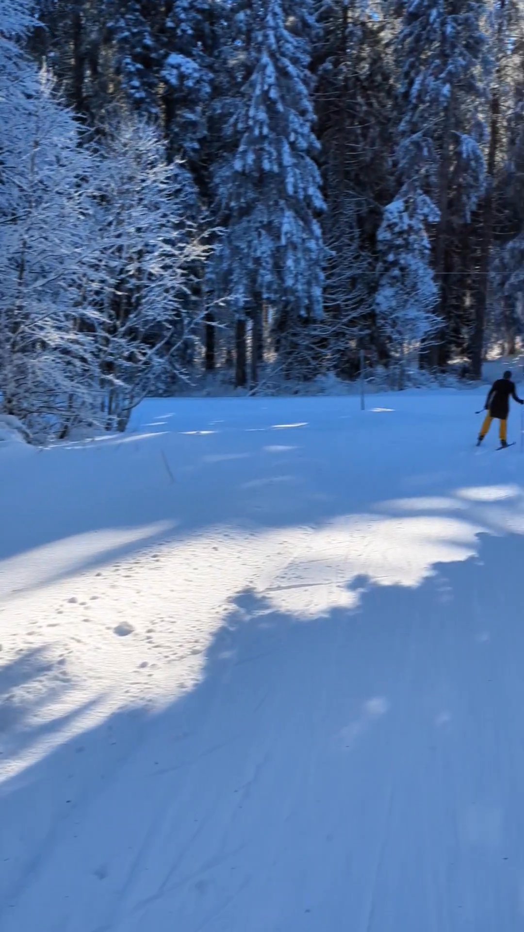 The art / the artist