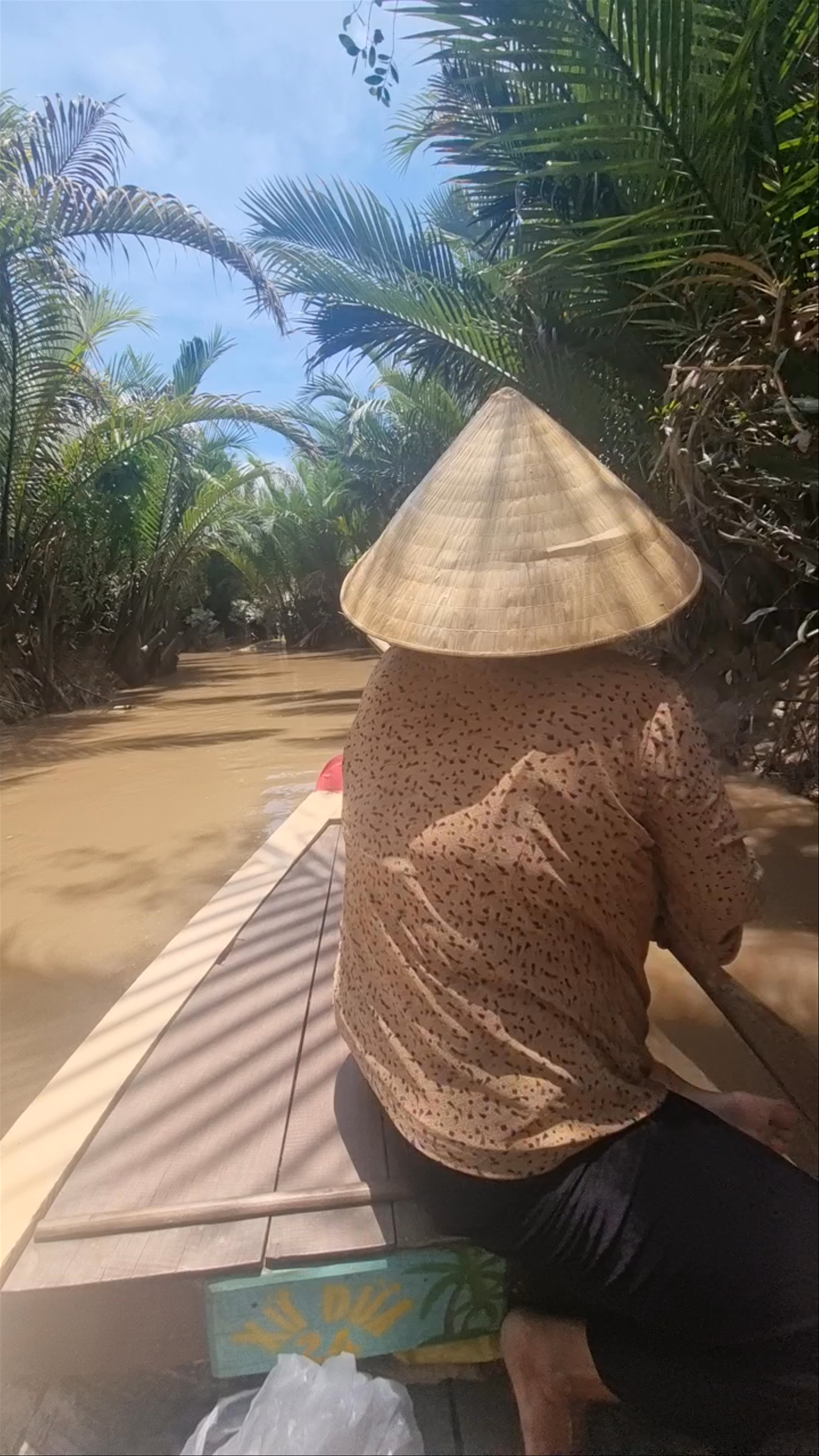 Mekong Delta Tours