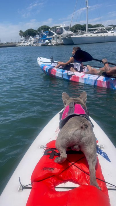 OC Paddlesports - Amazing company they go above and beyond with customer service! - Beach Equipment Rentals Near Me - Huntington Beach, California