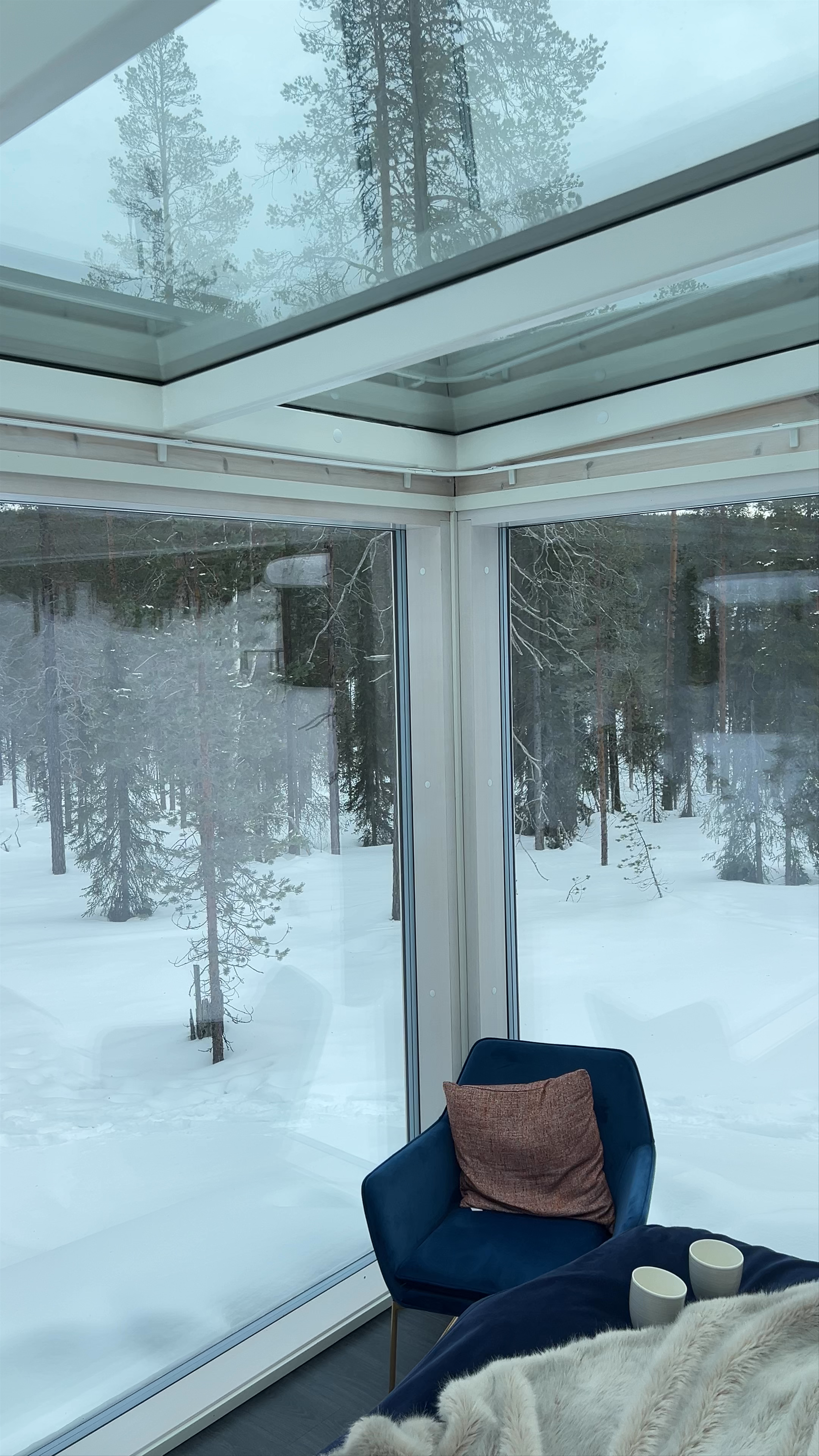 Arctic Skylight Lodge: Cozy Winter Escape with Panoramic Snowy Forest Views