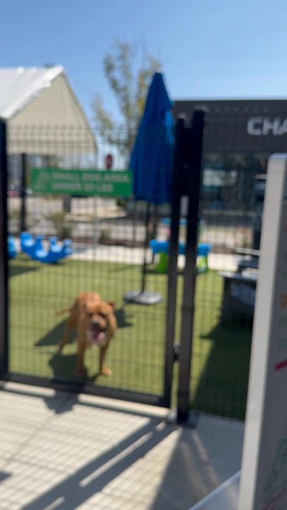 Bark Social - Baltimore - Dog Parks Near Me - Baltimore, Maryland