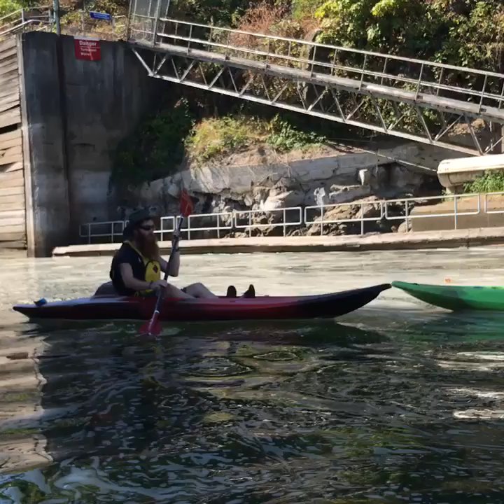 eNRG Kayaking - Some of the scenes on the tour! - Rafting/Kayaking Near Me - Oregon City, Oregon