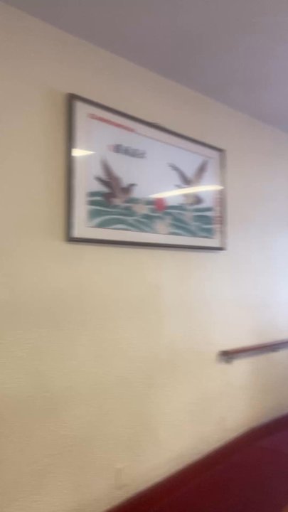 Little Mandarin - Video of interior - Chinese Near Me - San Rafael, California