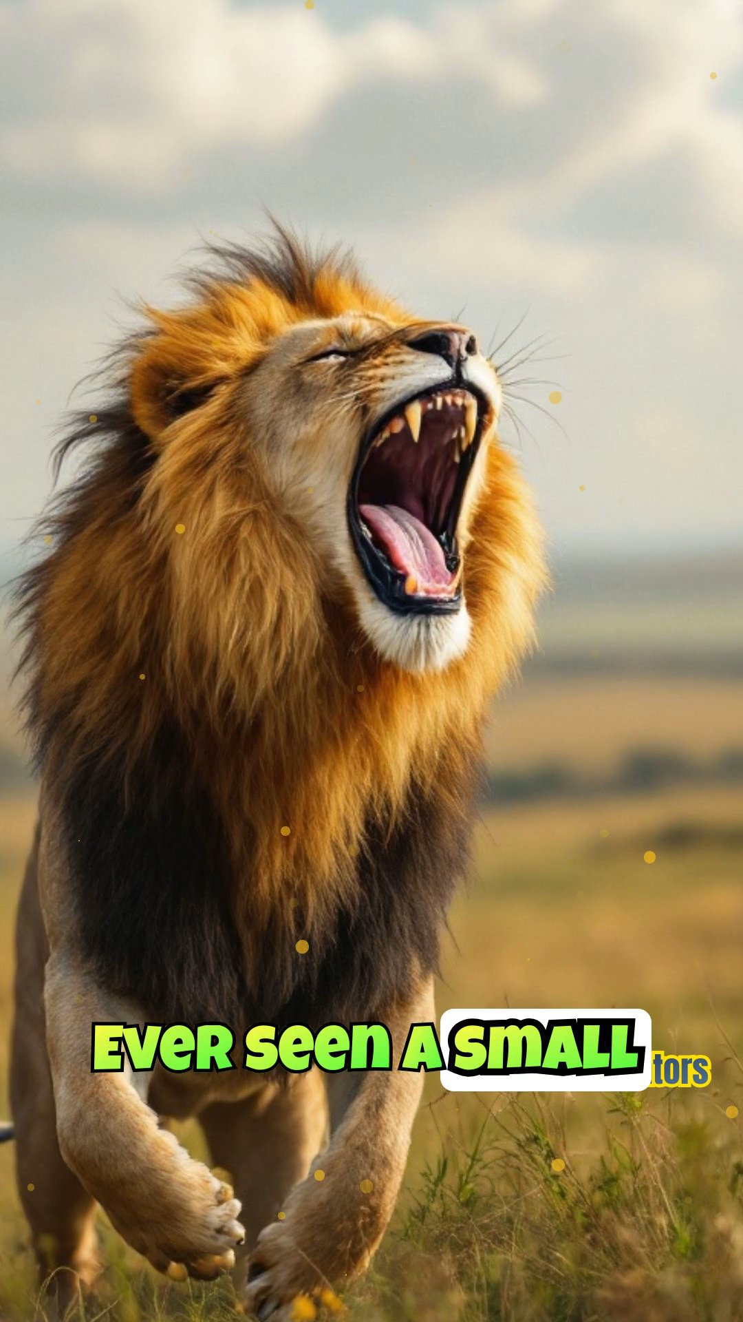 Honey Badger vs. Lion: The Underdog's Ferocity