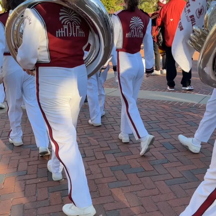 Williams-Brice Stadium - Ran into the band! - Stadiums & Arenas Near Me - Columbia, South Carolina