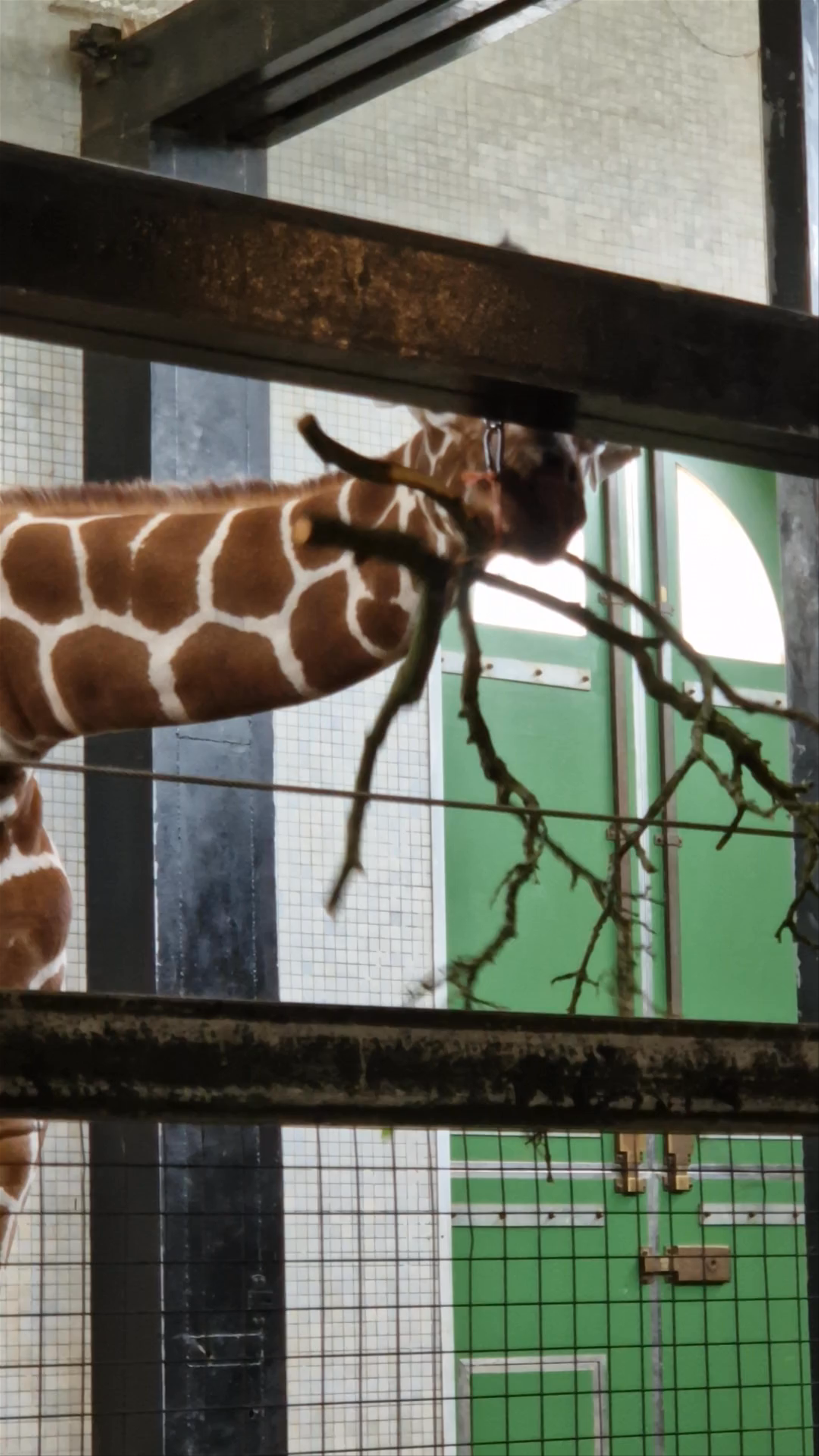 London Zoo