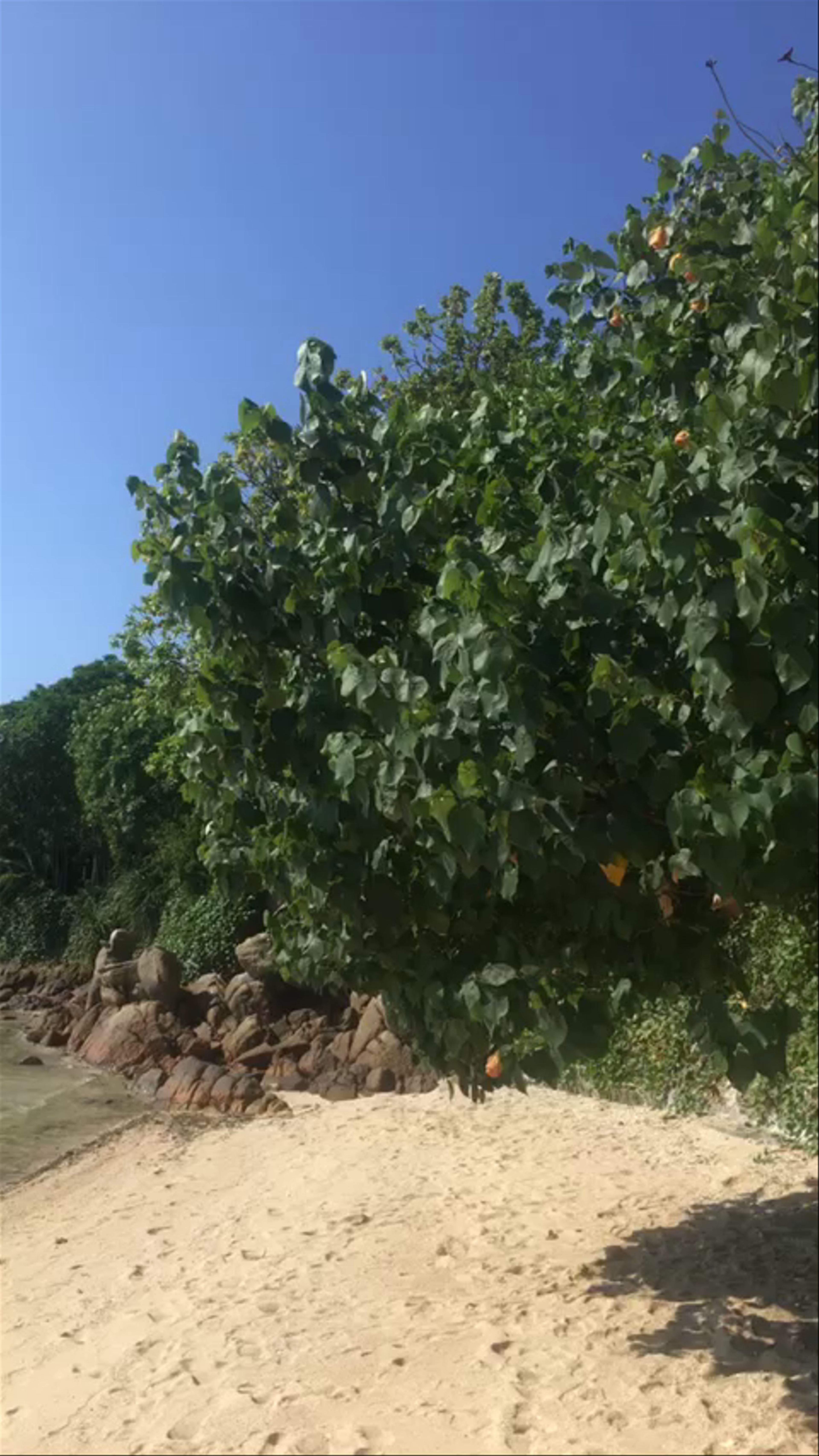 Secret Beach: Hidden Paradise at Ko Pha-ngan, Thailand