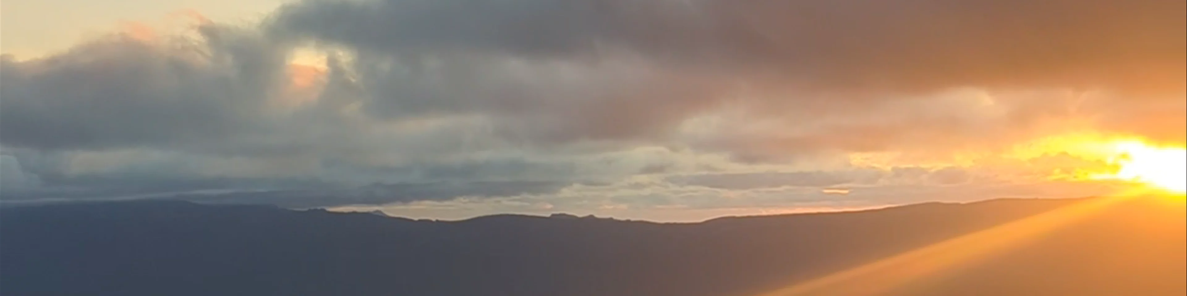 Reed Lookout