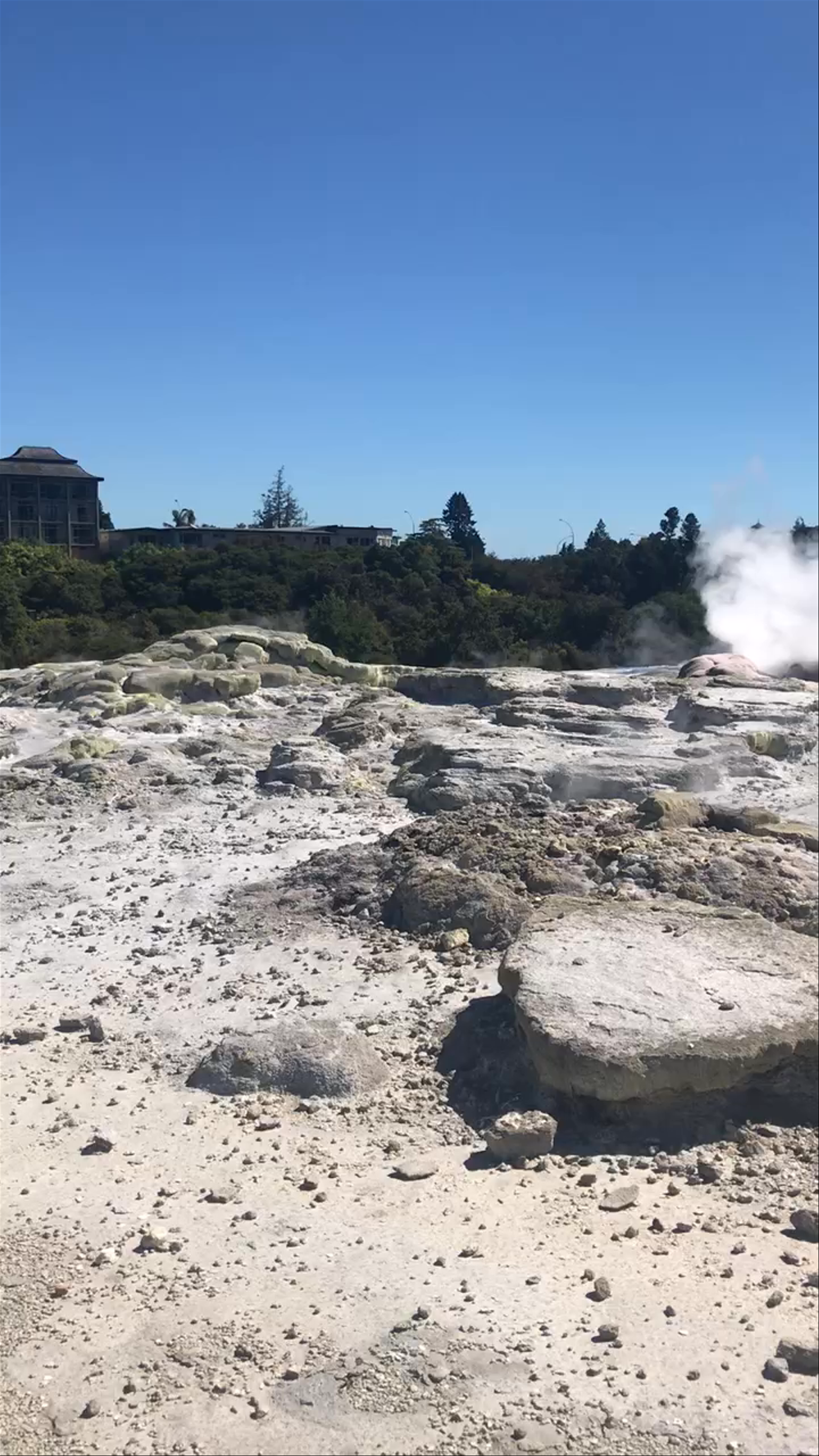 Wairewarewa Mudpools Viewing Area