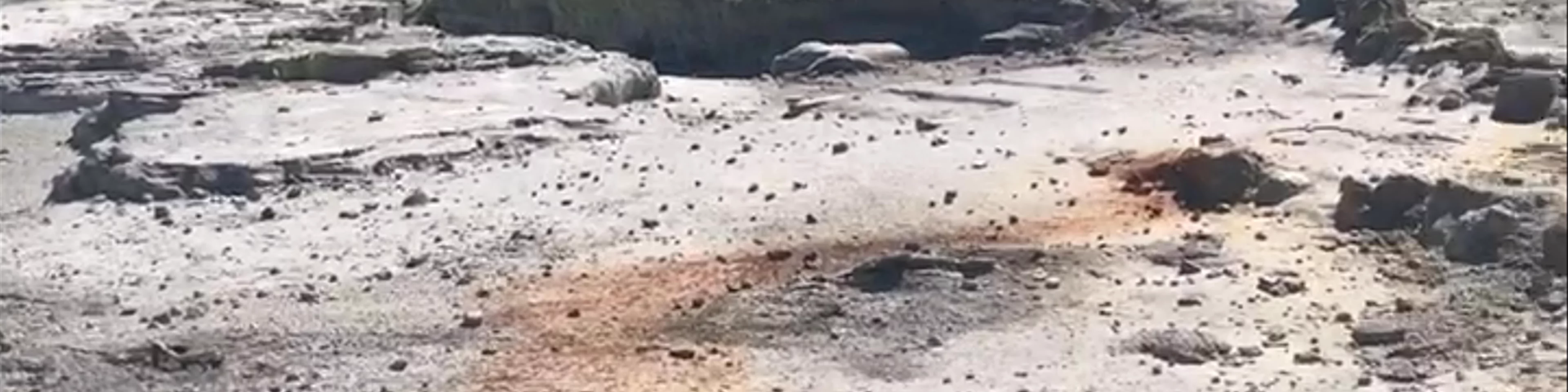 Wairewarewa Mudpools Viewing Area