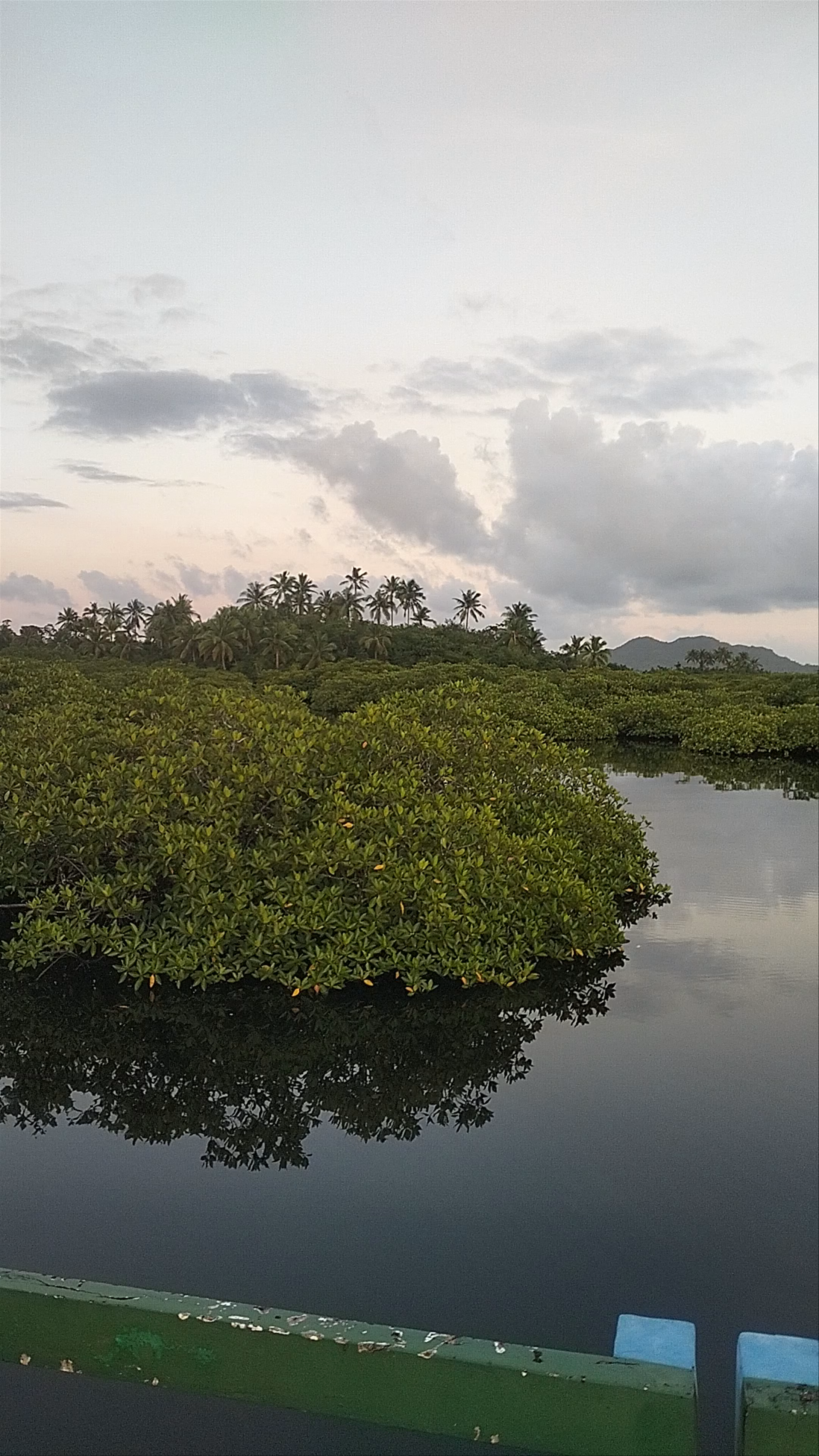 Del Carmen Mangrove Boardwalk