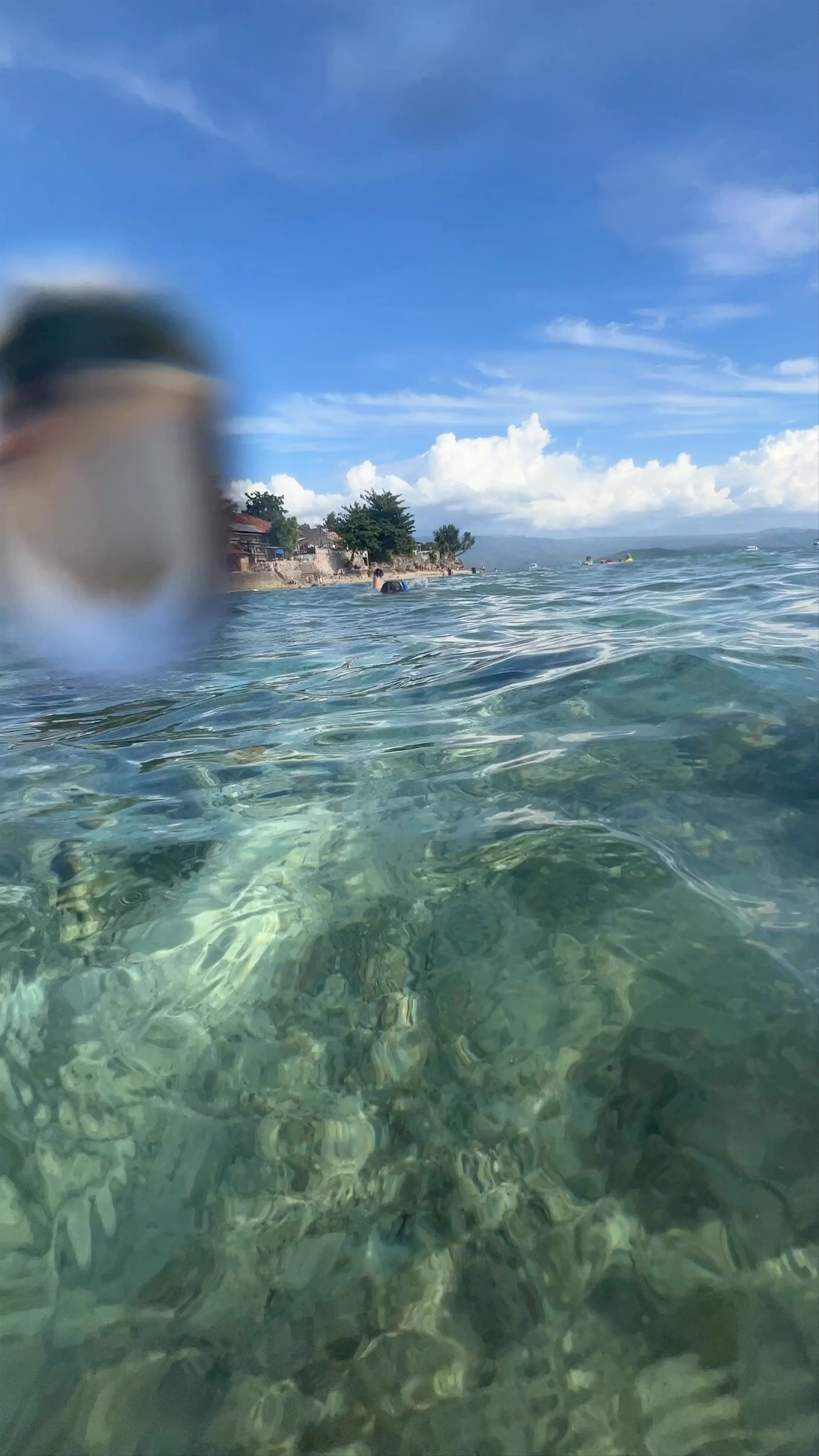 Moalboal Sardines Run - Cebu Sardines Run, Panagsama Beach, Moalboal, Cebu, Philippines