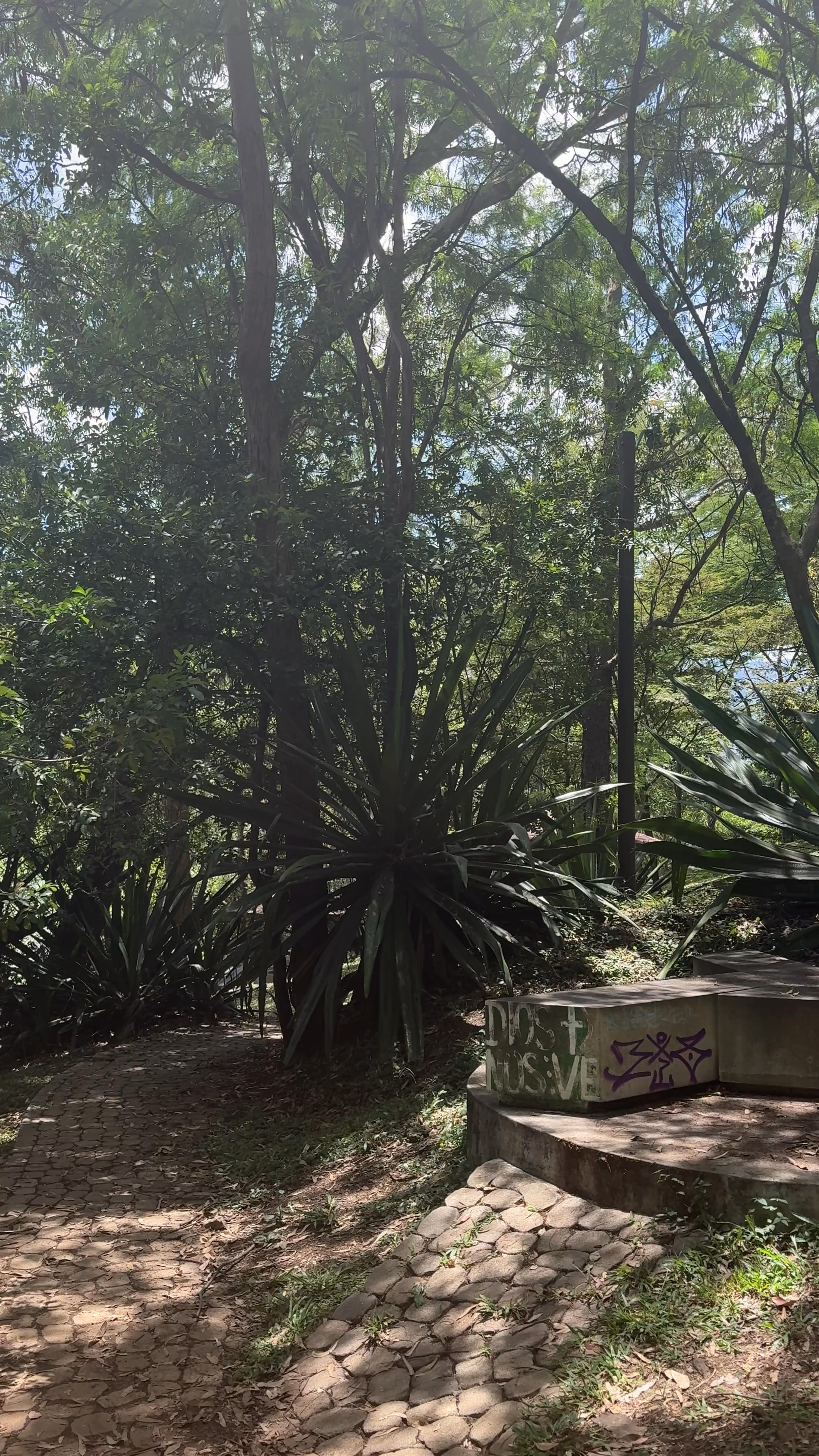 Cerro de Nutibara Sculpture Park