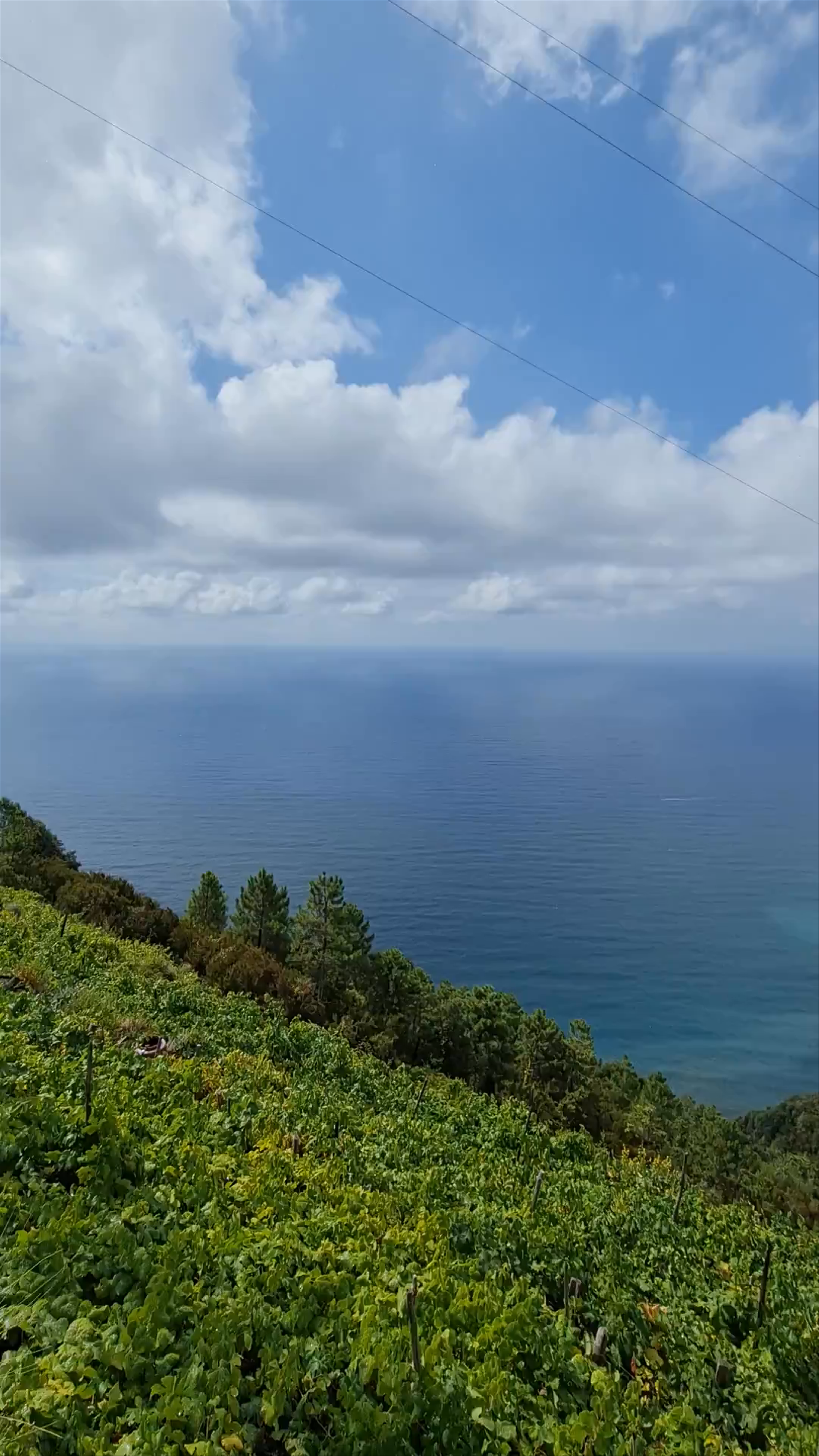 Manarola Scenic Viewpoint