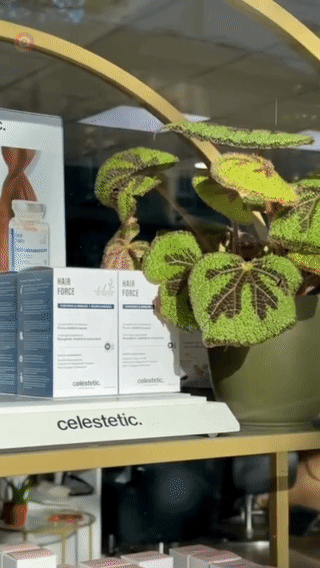 Micellar Clean  - aperçu animé