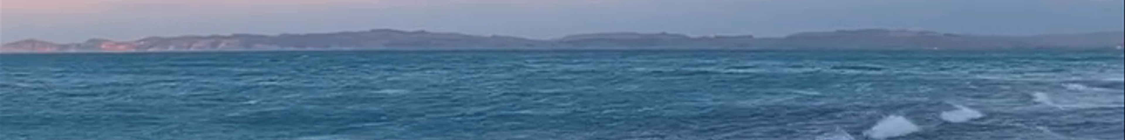 Tours & experiences in Hawke's Bay