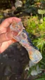 Small image 9