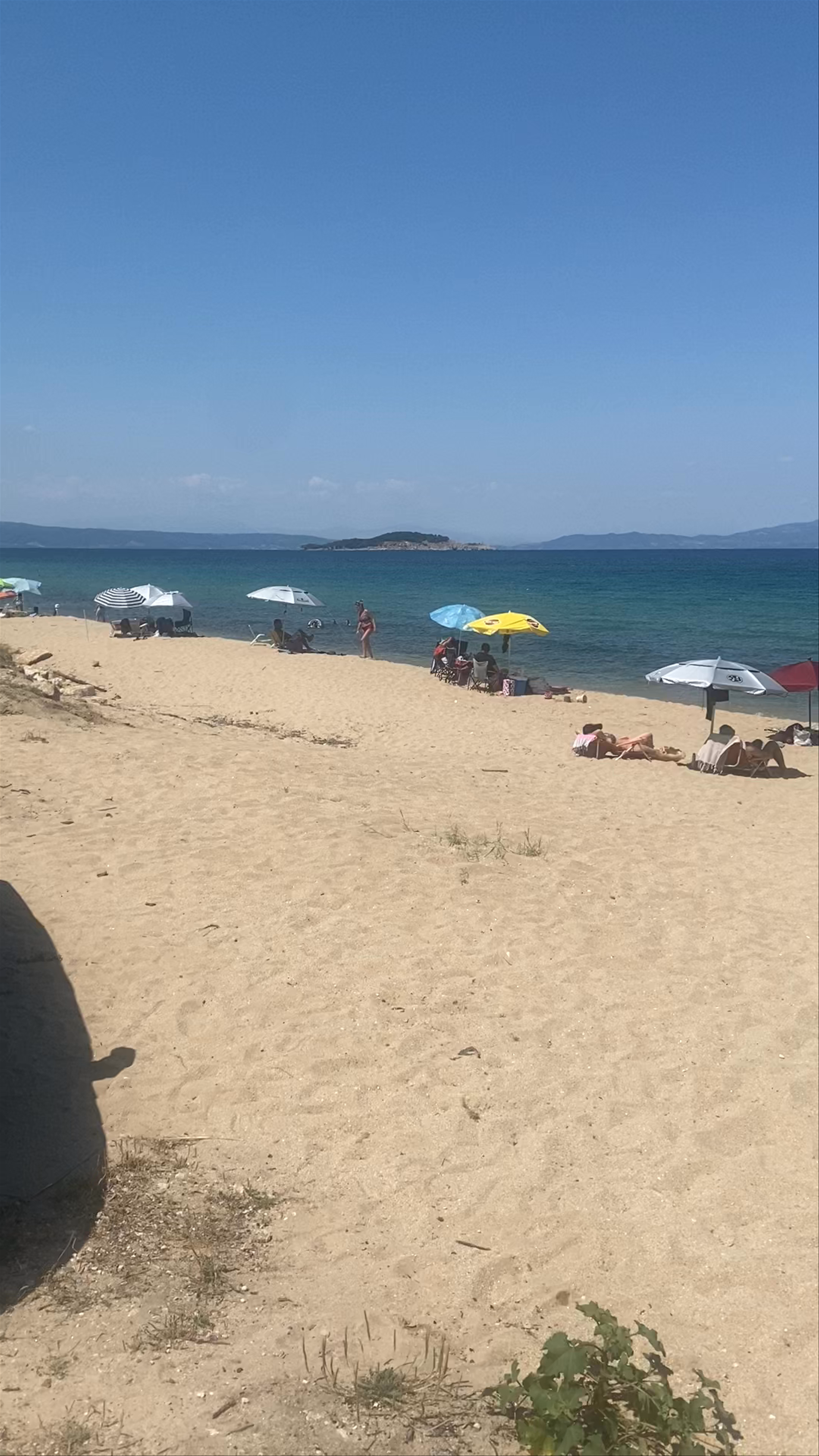 Paralia Vinia