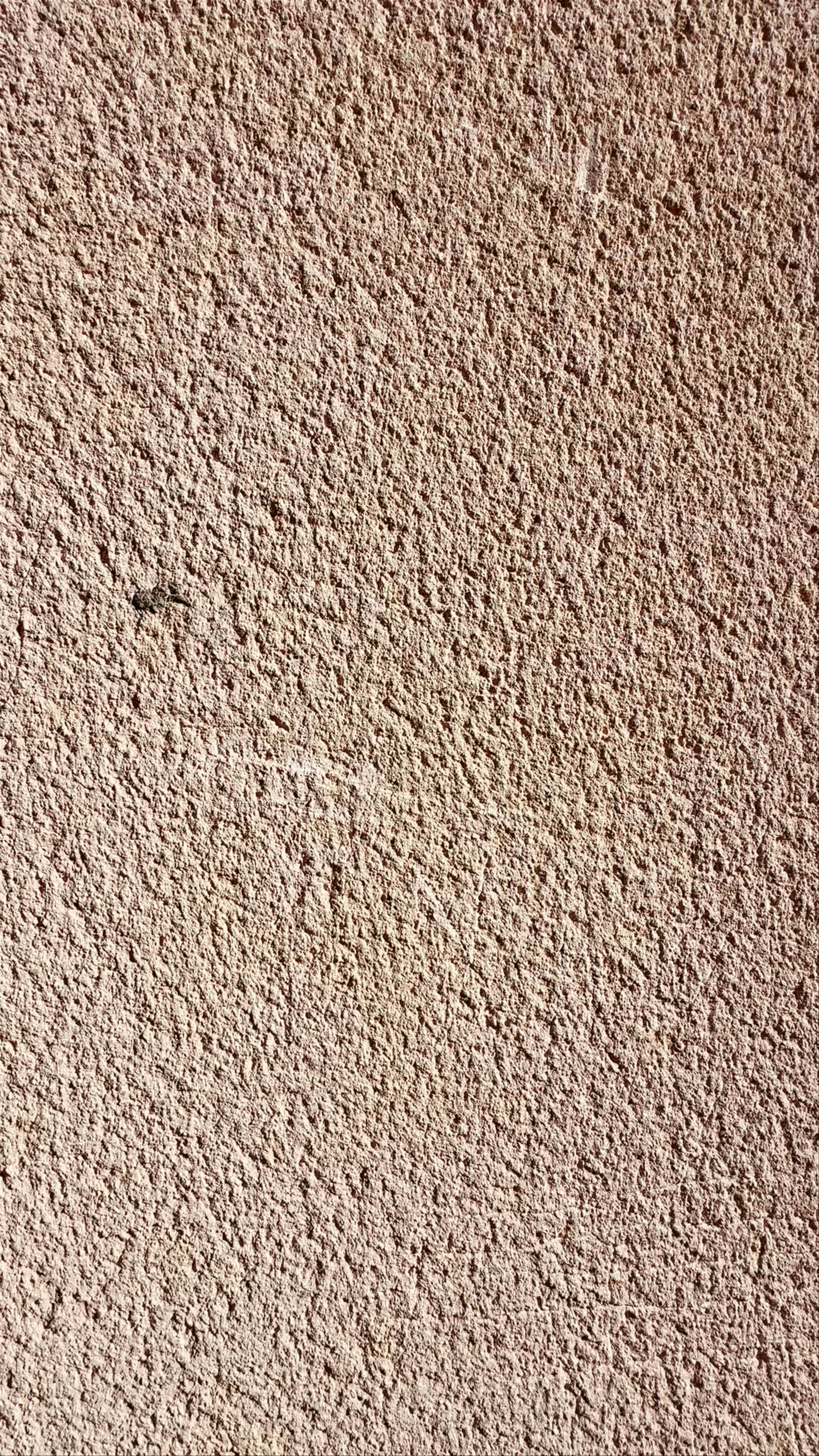 Parroquia San Andrés