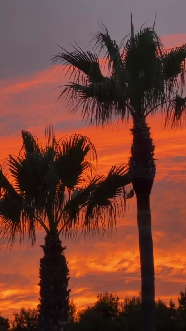 Video postcard from Richard