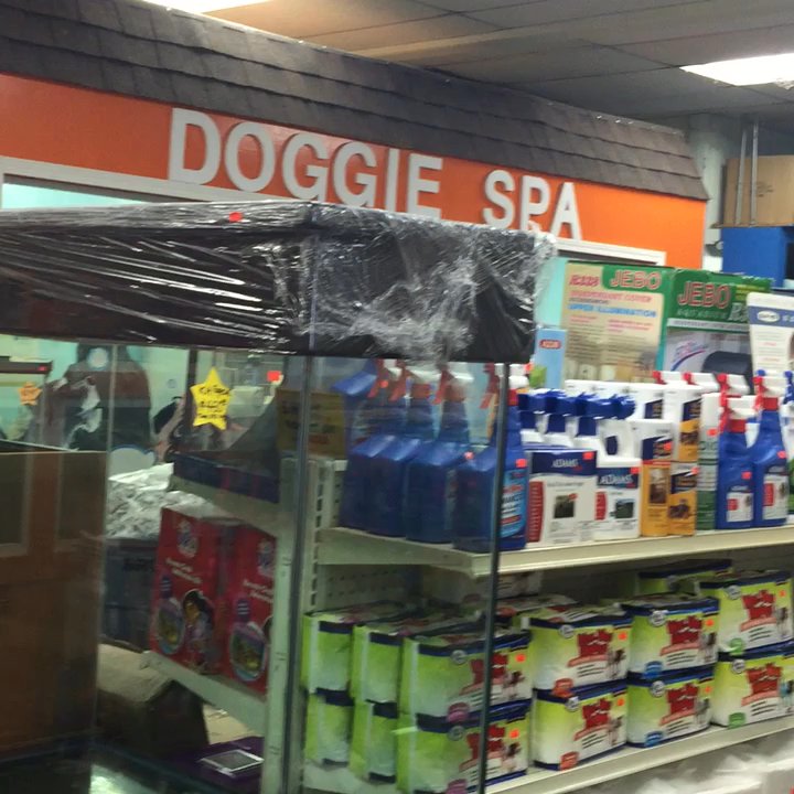Petnjoy - Everything under the kitchen sink is here for your pets. - Pet Stores Near Me - Gardena, California