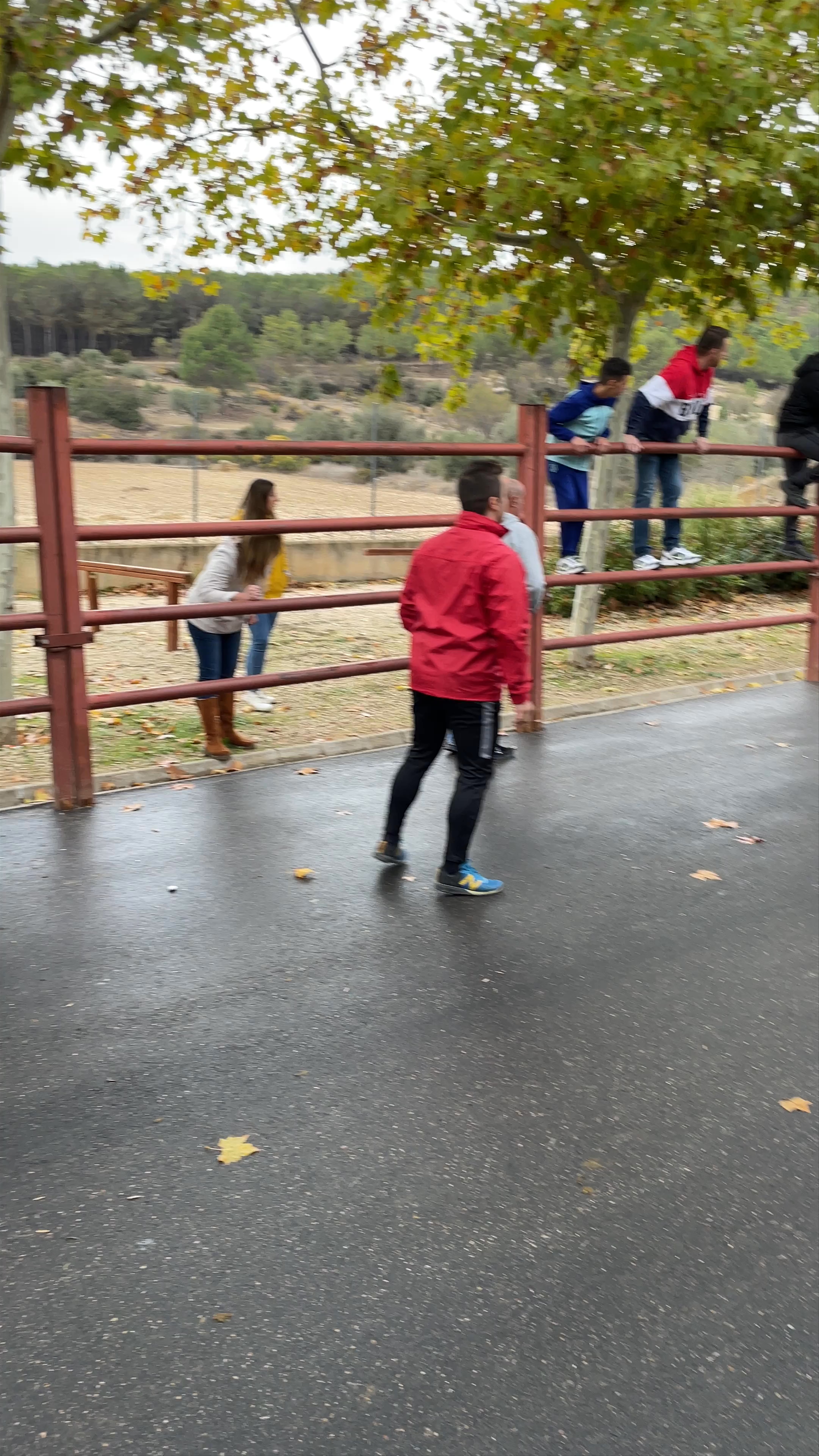 Plaza de Toros EL Rejal