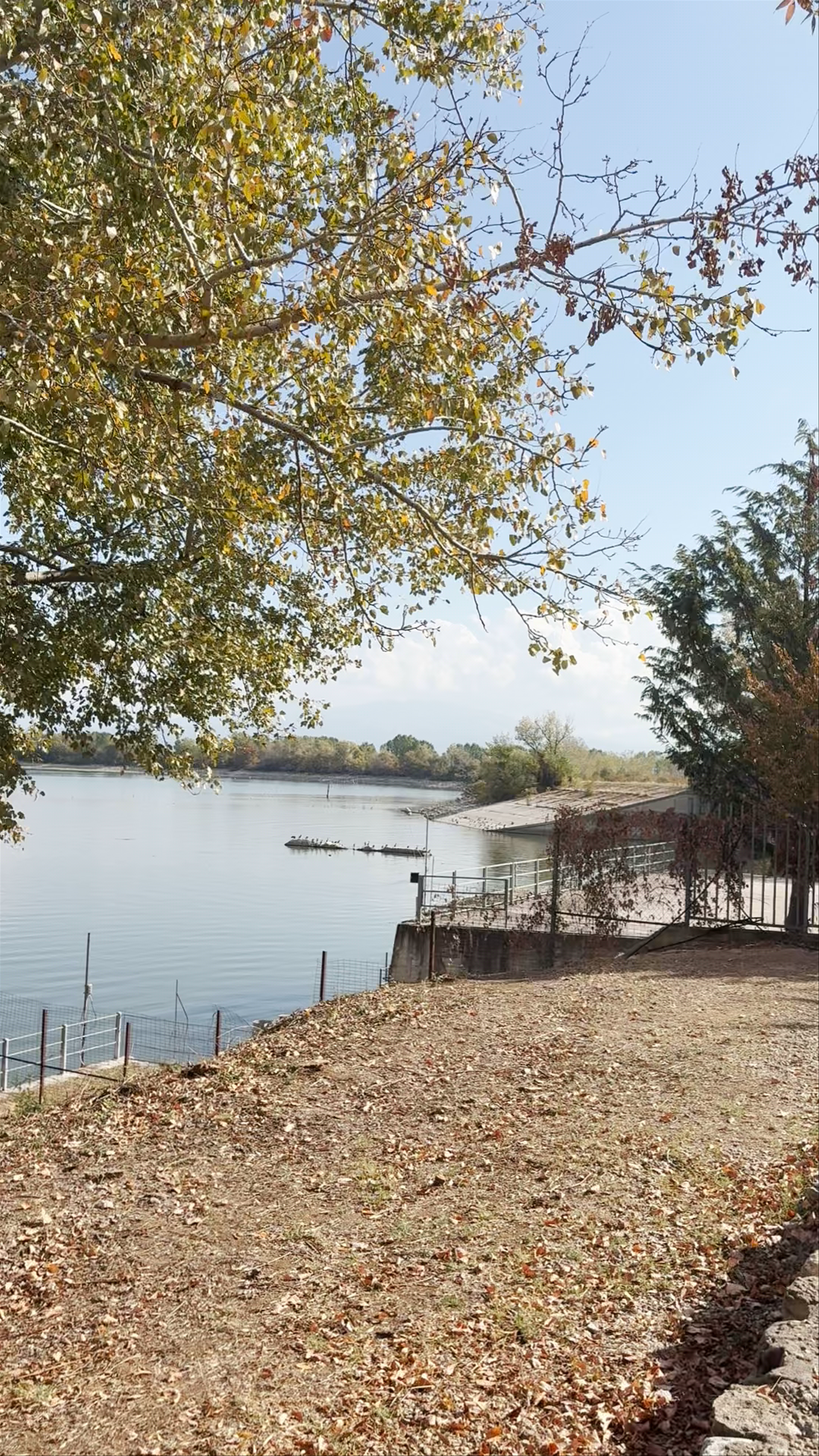 Tranquil Autumn Moments at Lake Kerkini, Greece