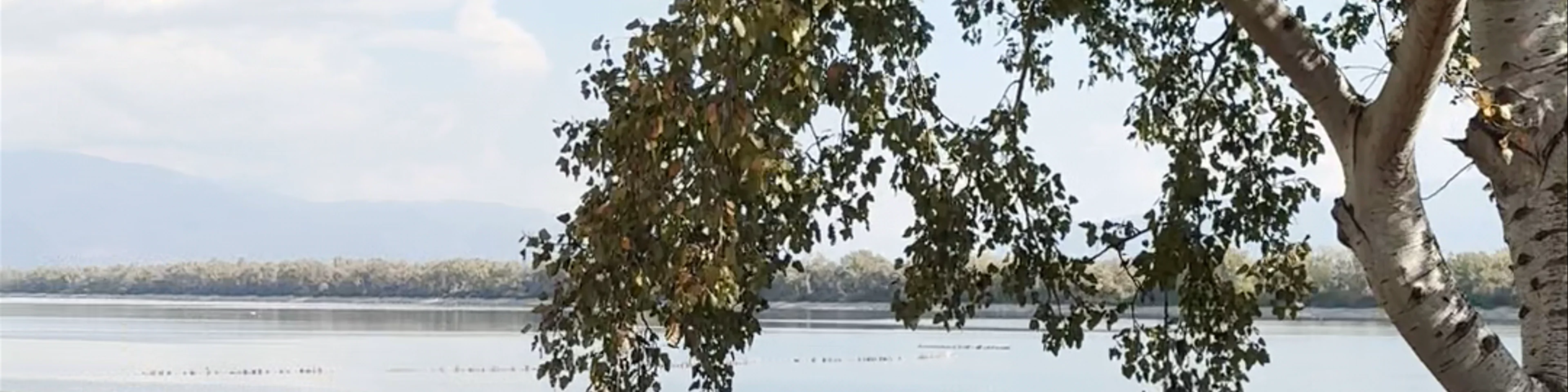 Lake Kerkini