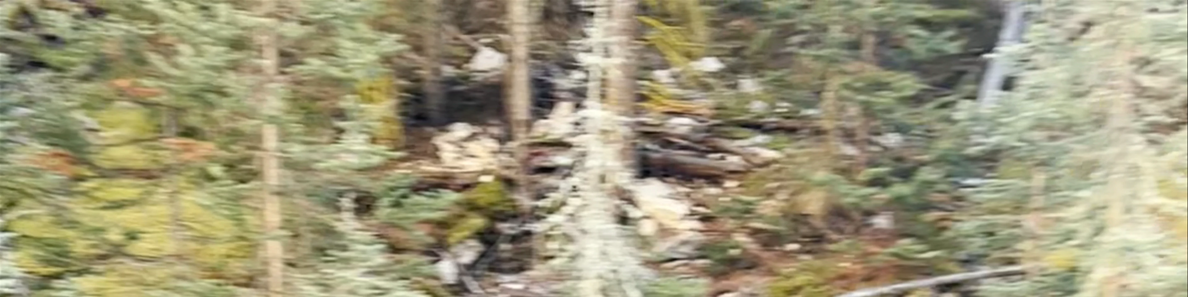 Banff Gondola