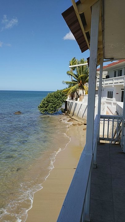 LemonTree Oceanfront Cottages - Absolutely amazing view. - Hotels Near Me - Rincon, Puerto Rico
