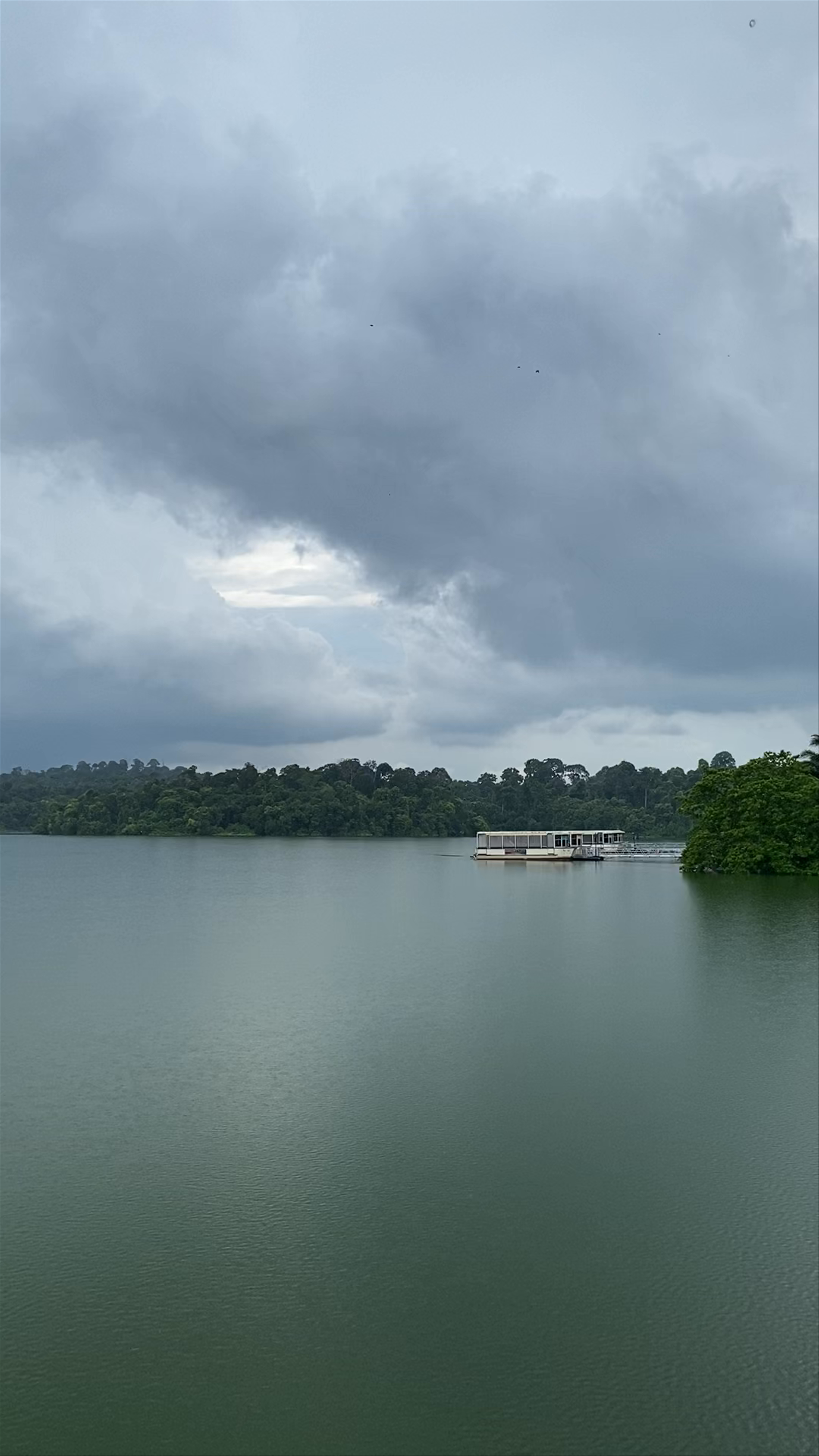 Mandai Lake Road