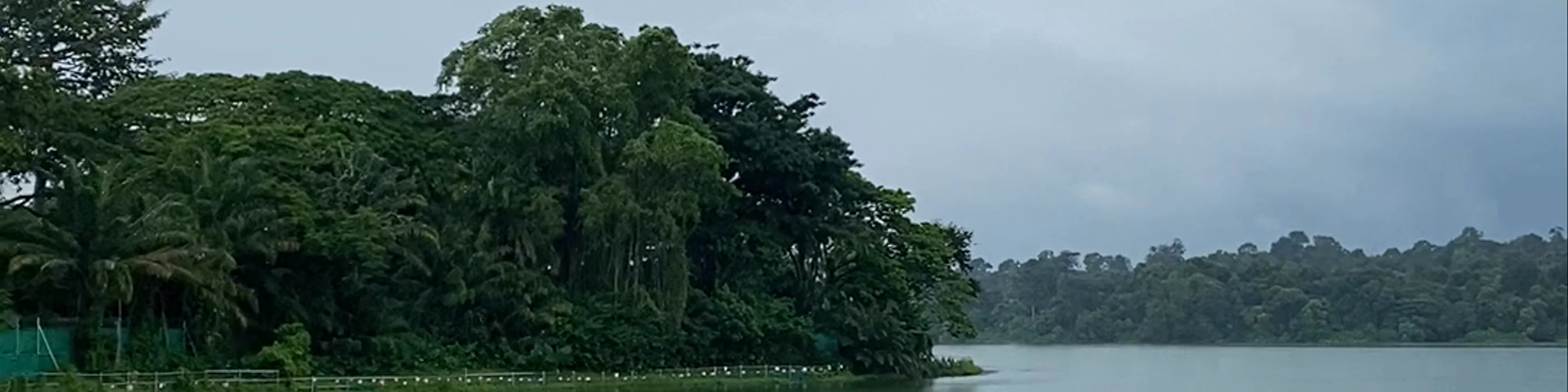 Mandai Lake Road