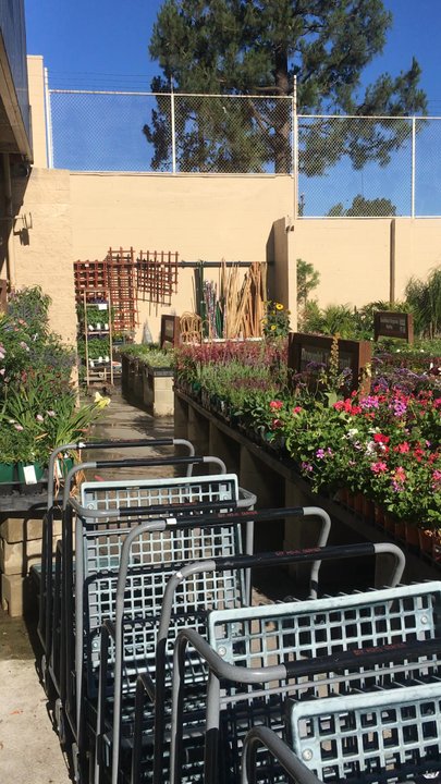 DIY Home Center Tujunga - Nice gardening section! - Hardware Stores Near Me - Tujunga, California