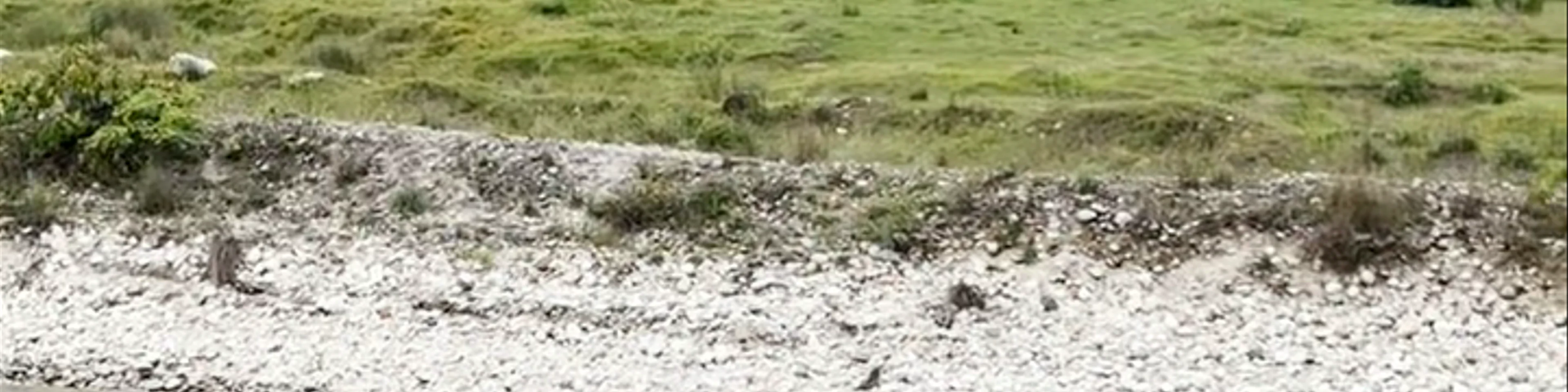 Xplore Bhutan Rafting and Kayaking Punakha